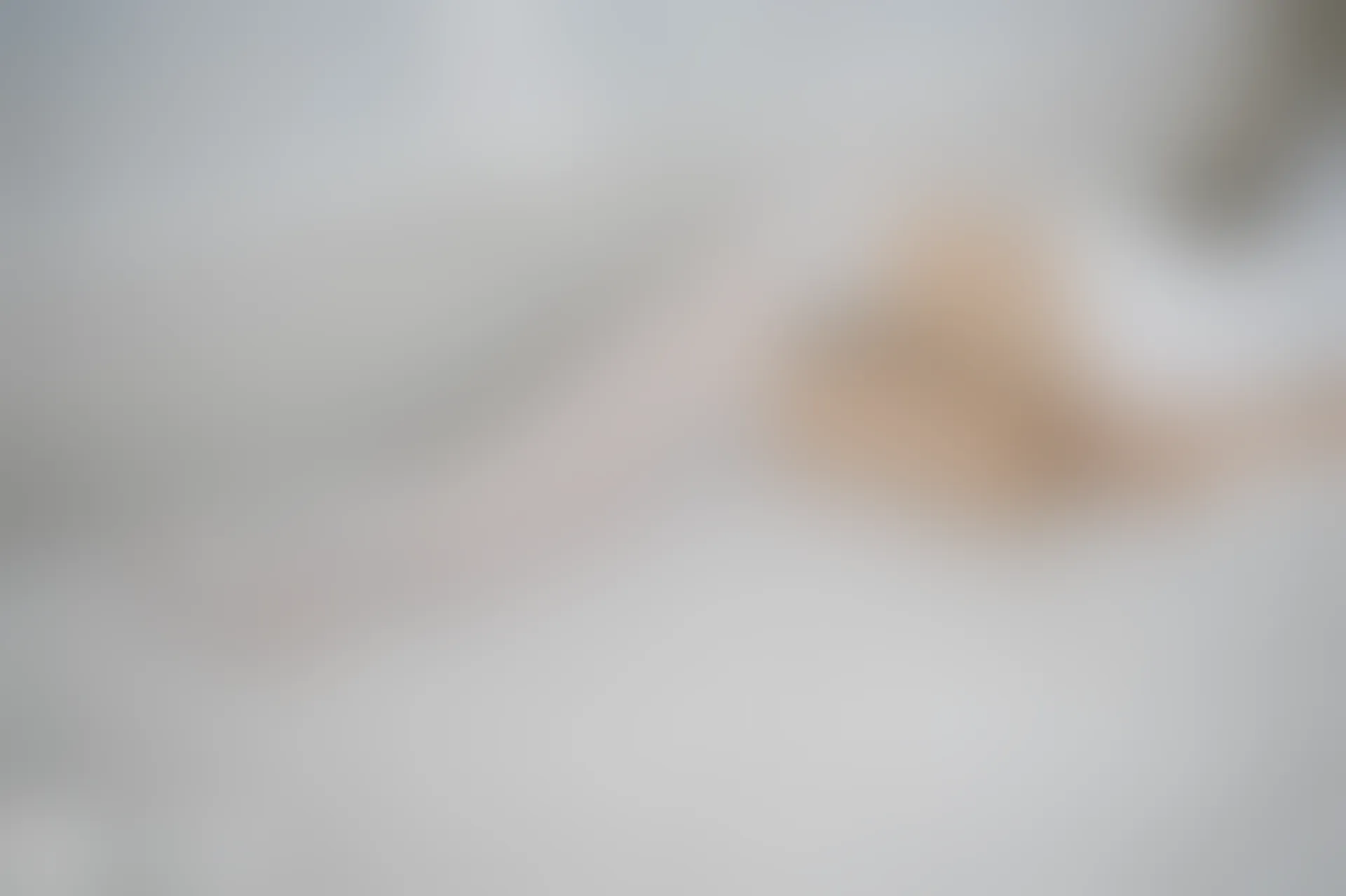 D64.002 兔玩映画 白裙和白丝 [40P-62MB]