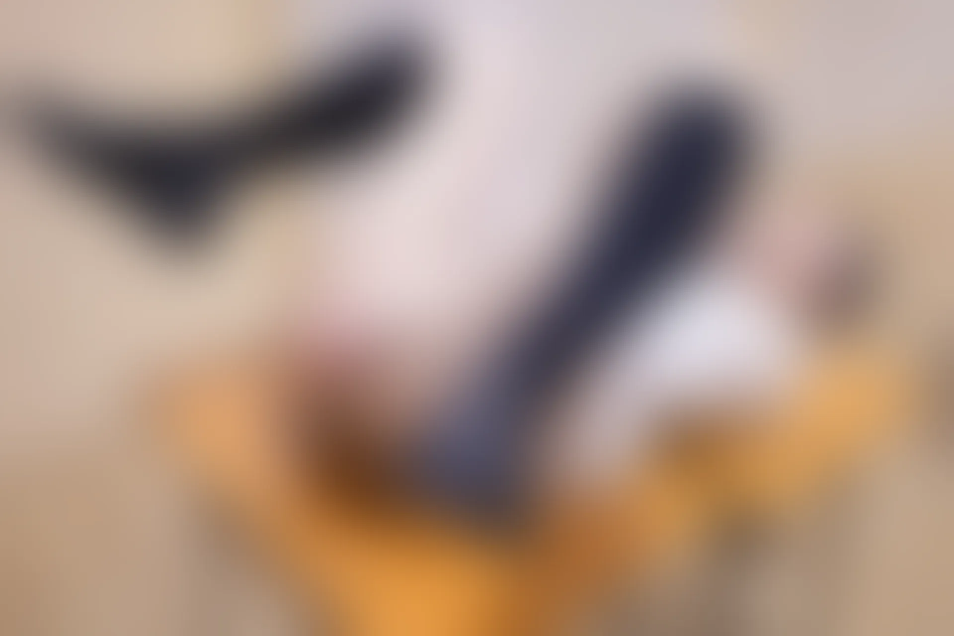XIUREN秀人网 2024.02.02 NO.8058 幼幼[80+1P／714MB]
