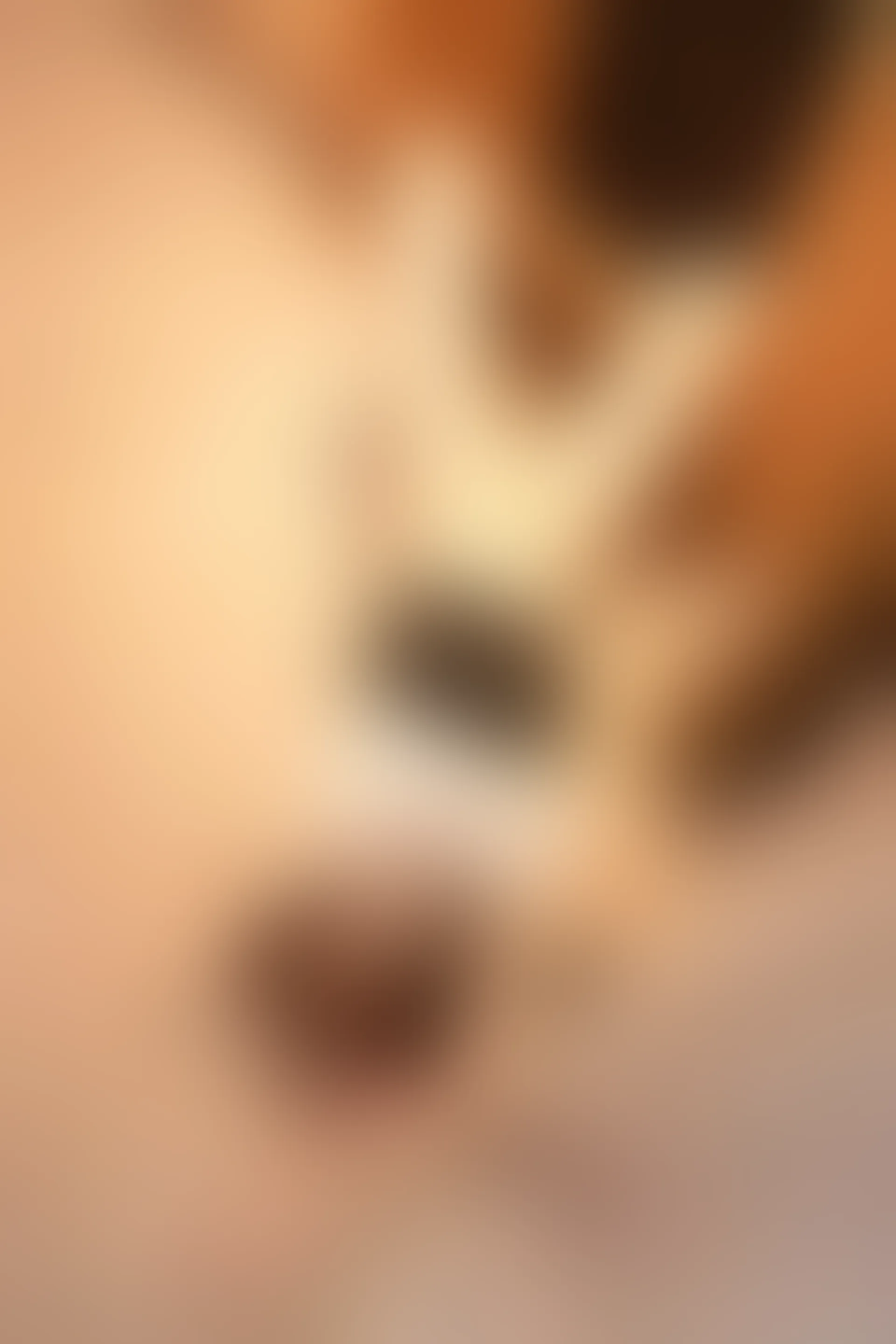 XIUREN 秀人网 2023.09.18 NO.7403 江真真[67+1P／660MB]