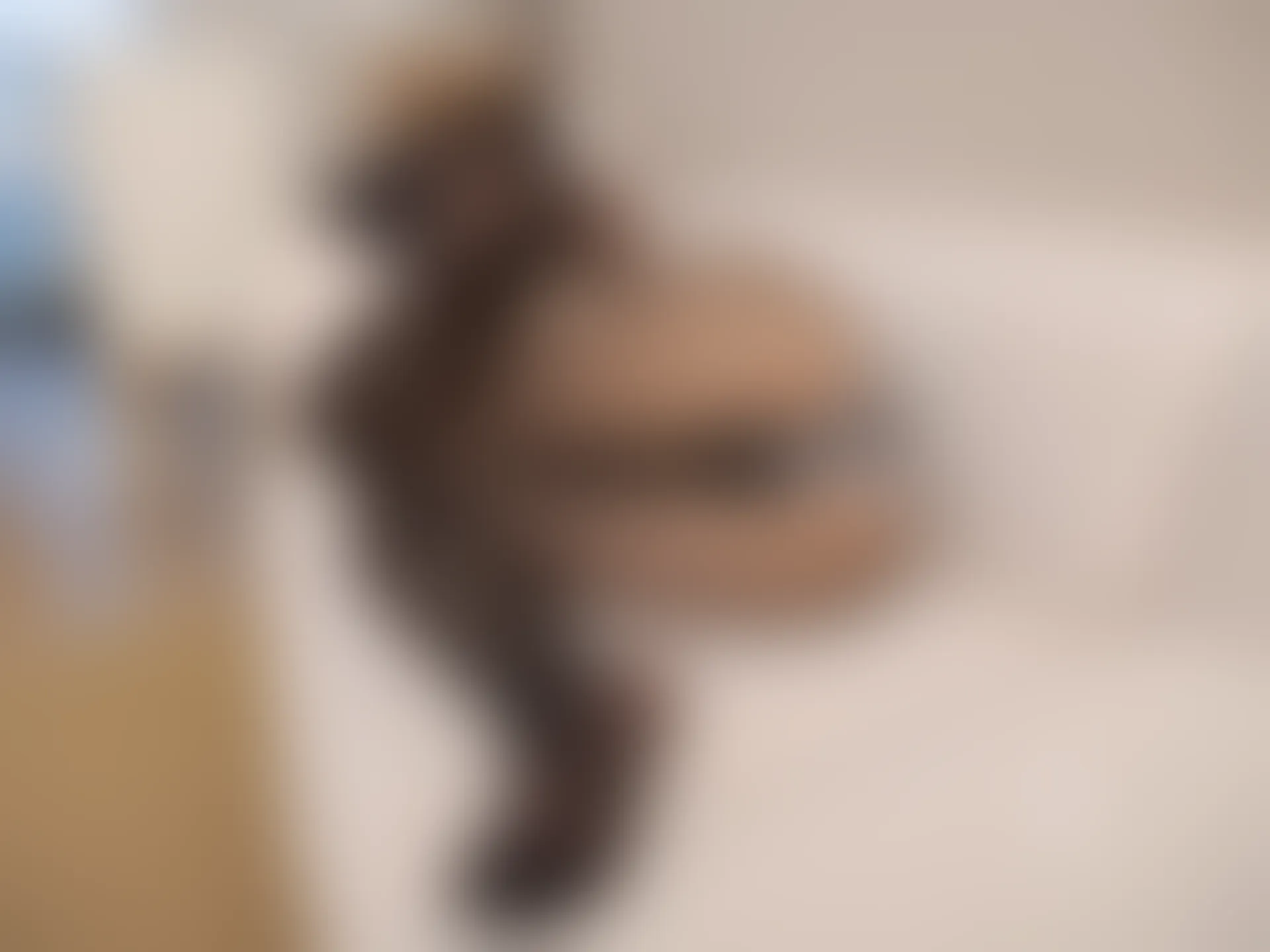 紧急企划 VOL.022 [59P-2.11GB] 一只喵喵梓 黑丝旗袍一只喵喵梓, 旗袍, 紧急企划, 美腿, 美足, 黑丝