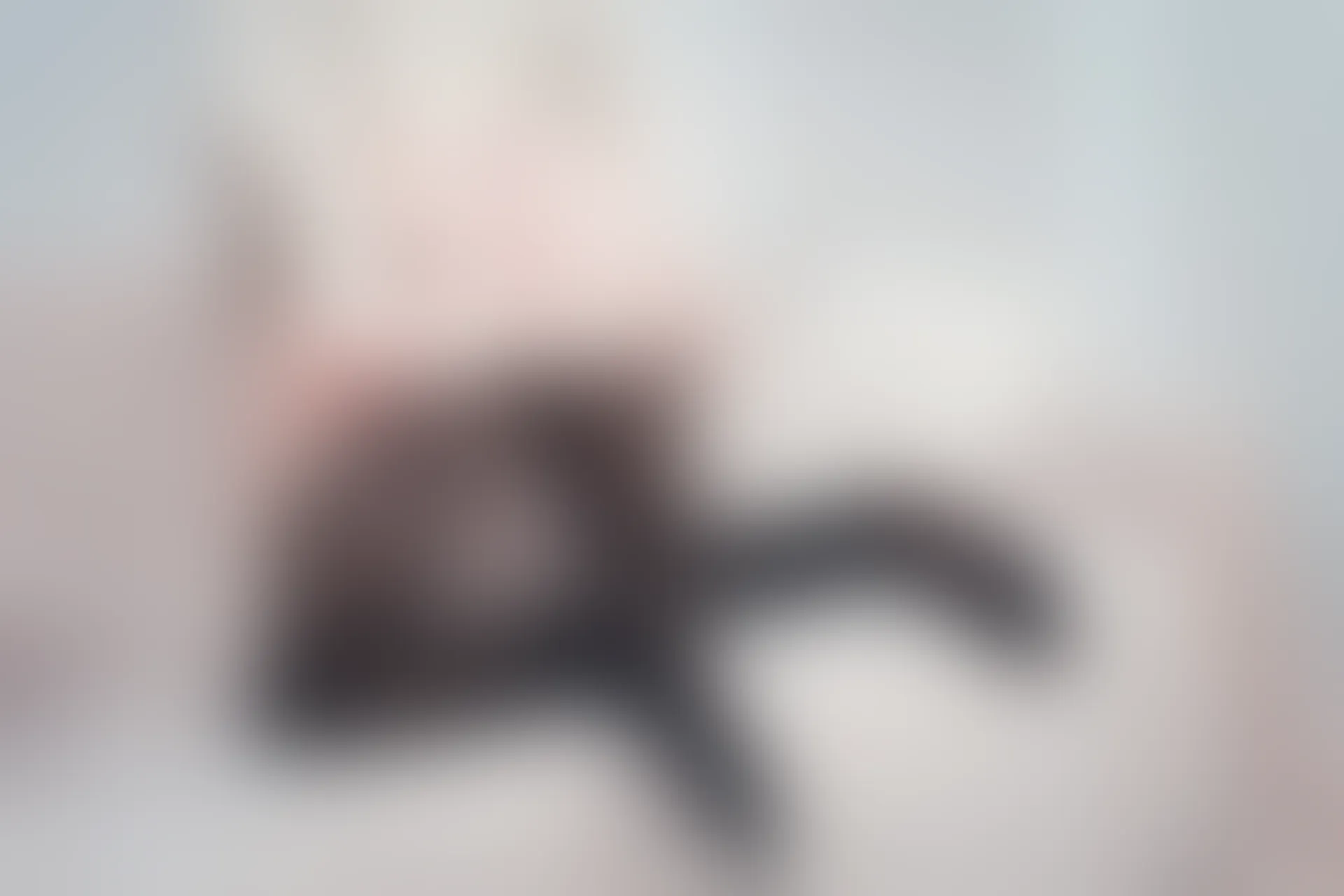 C05.006 是你的穹妹吗？ [41P-292MB]