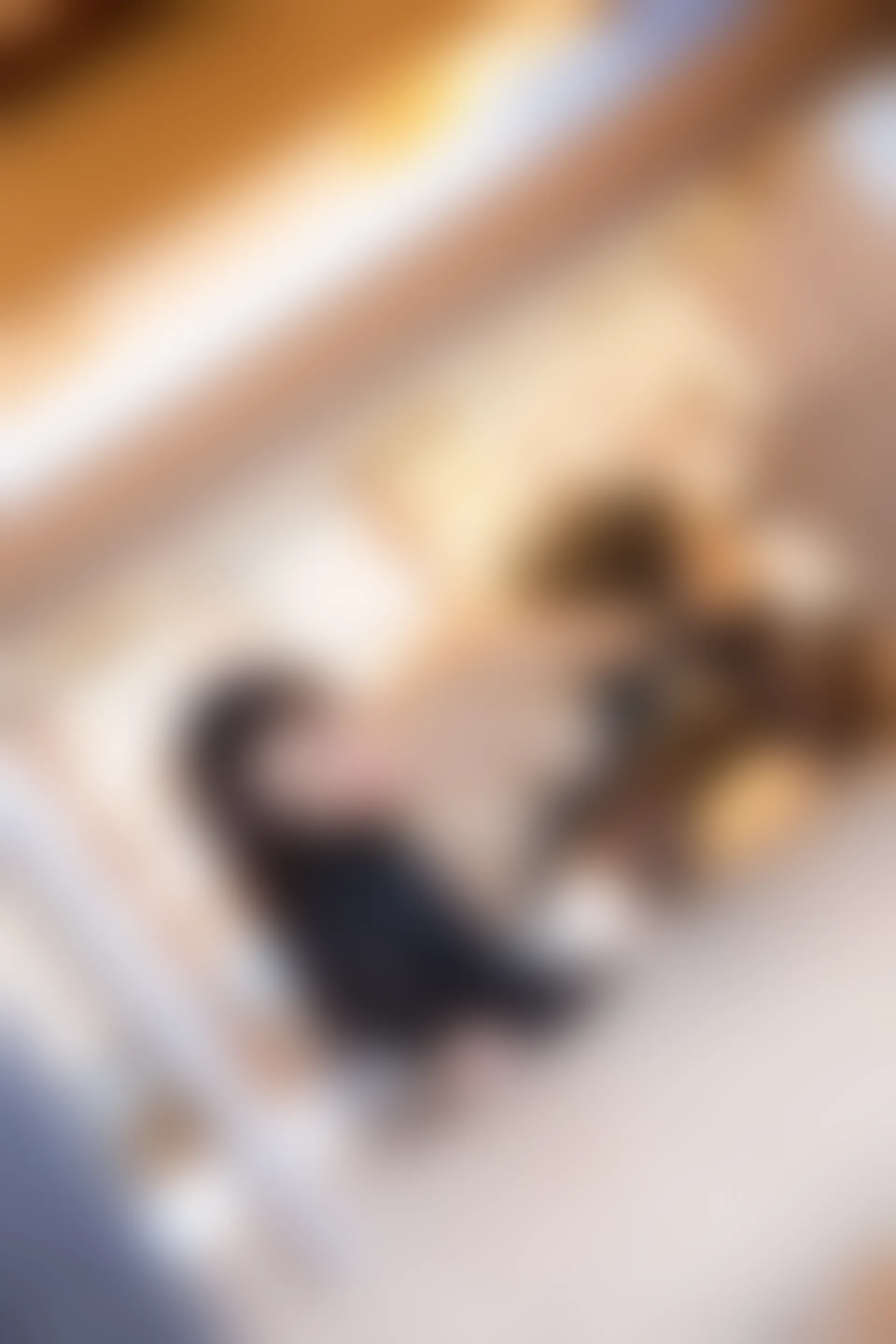 XiuRen秀人网 2022.01.14 No.4463 诗诗kiki 三亚旅拍[70+1P 713MB]