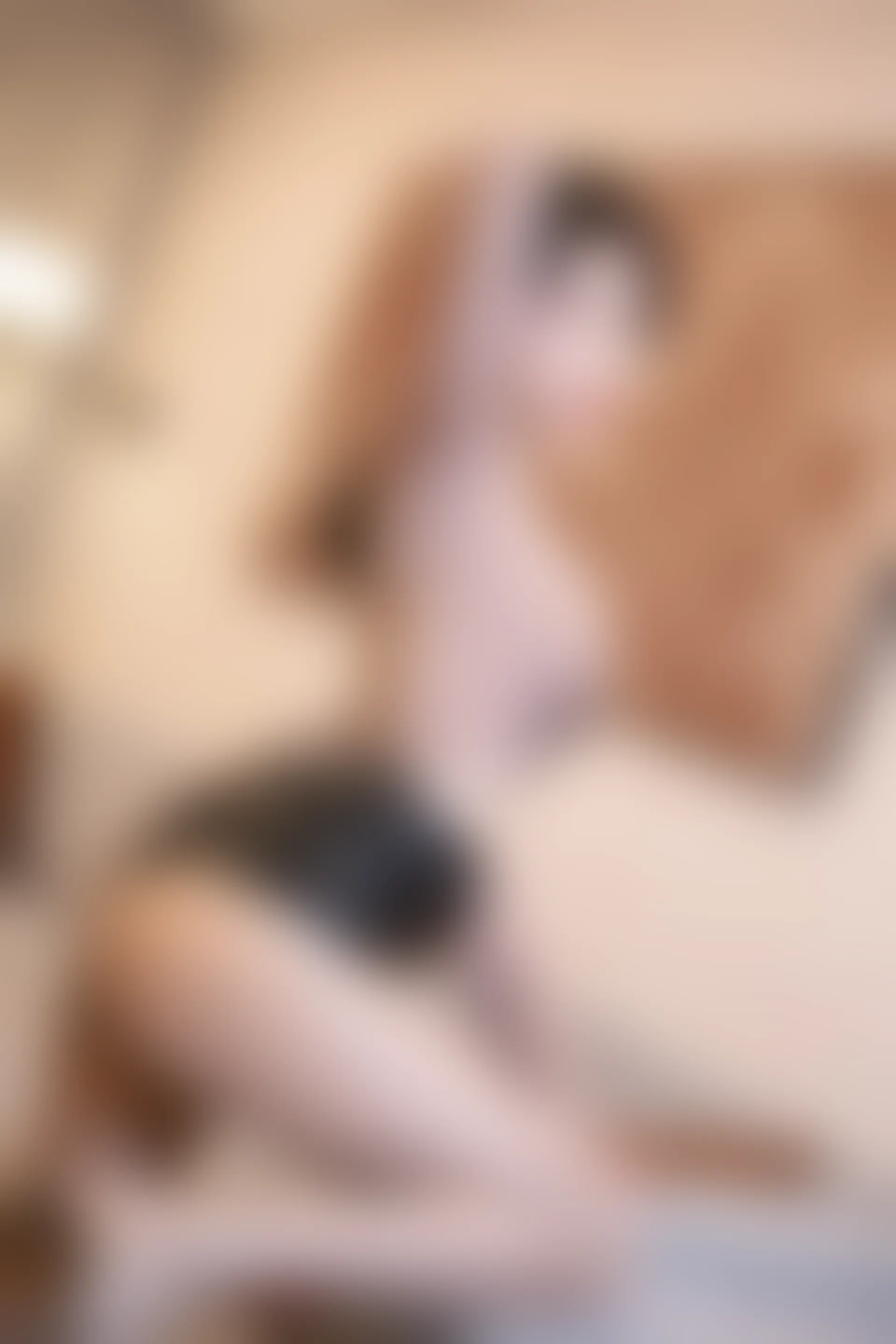 XIUREN秀人网 2024.01.02 NO.7897 苏苏阿[84+1P／685MB]