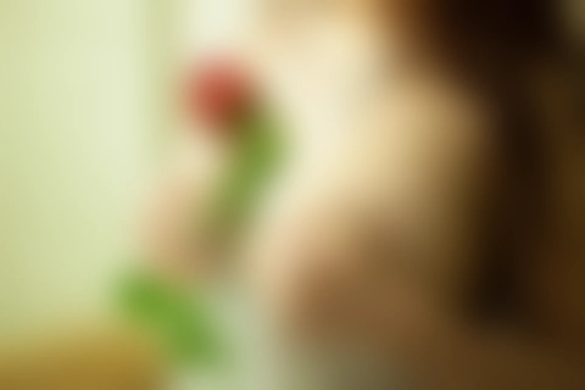 XiuRen秀人网 2014.02.14 No.104 杨依 [61P-172MB]