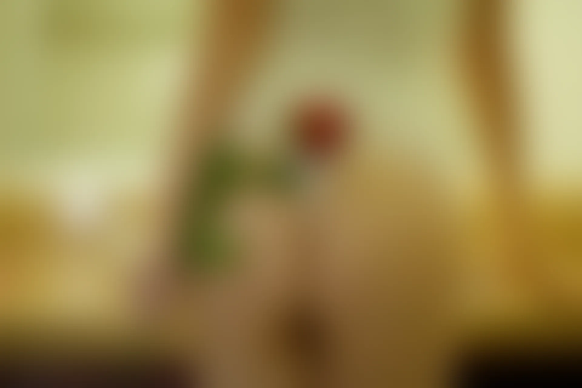 XiuRen秀人网 2014.02.14 No.104 杨依 [61P-172MB]