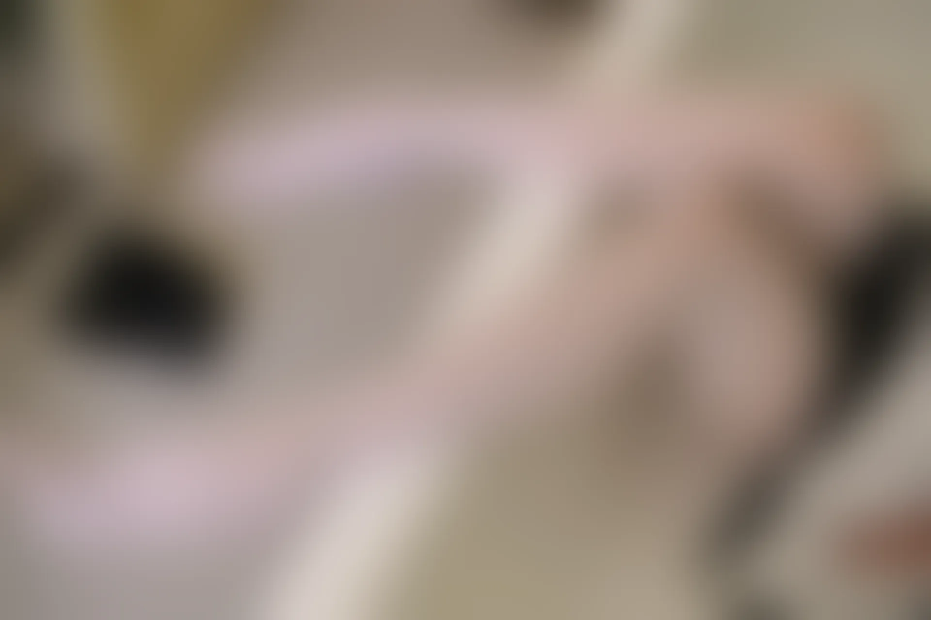 稚乖画册 赤西夜夜《粉色睡衣》双马尾白丝 [62P1V-3.7GB]双马尾, 白丝, 睡衣, 稚乖画册, 美腿, 美足, 赤西夜夜