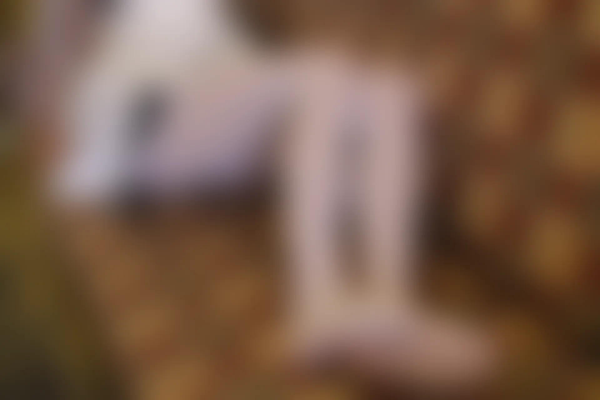 稚乖画册 赤西夜夜《粉色睡衣》双马尾白丝 [62P1V-3.7GB]双马尾, 白丝, 睡衣, 稚乖画册, 美腿, 美足, 赤西夜夜