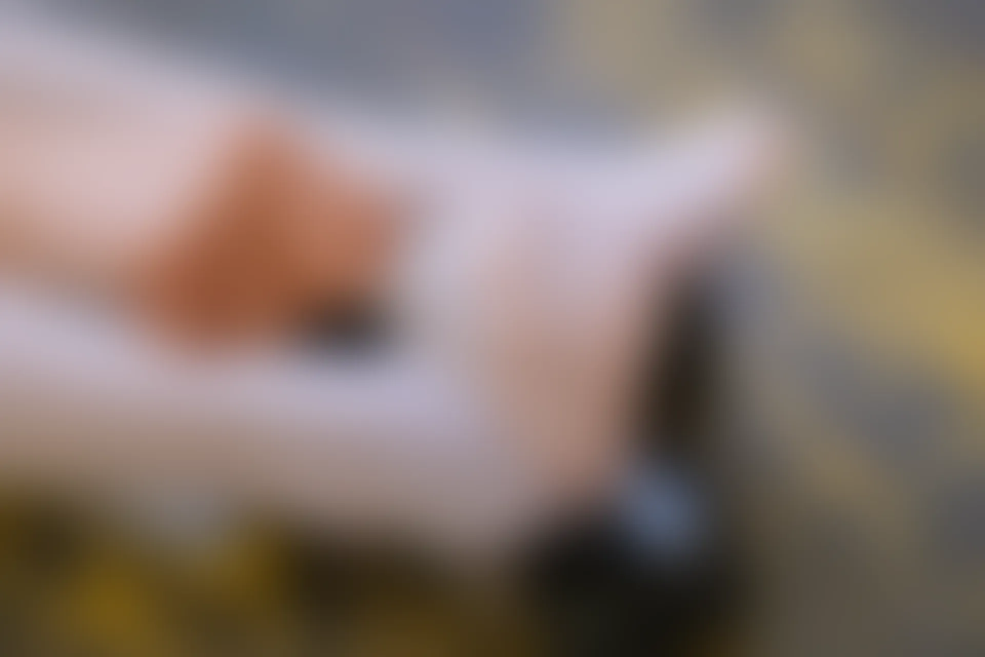 稚乖画册 赤西夜夜《粉色睡衣》双马尾白丝 [62P1V-3.7GB]双马尾, 白丝, 睡衣, 稚乖画册, 美腿, 美足, 赤西夜夜