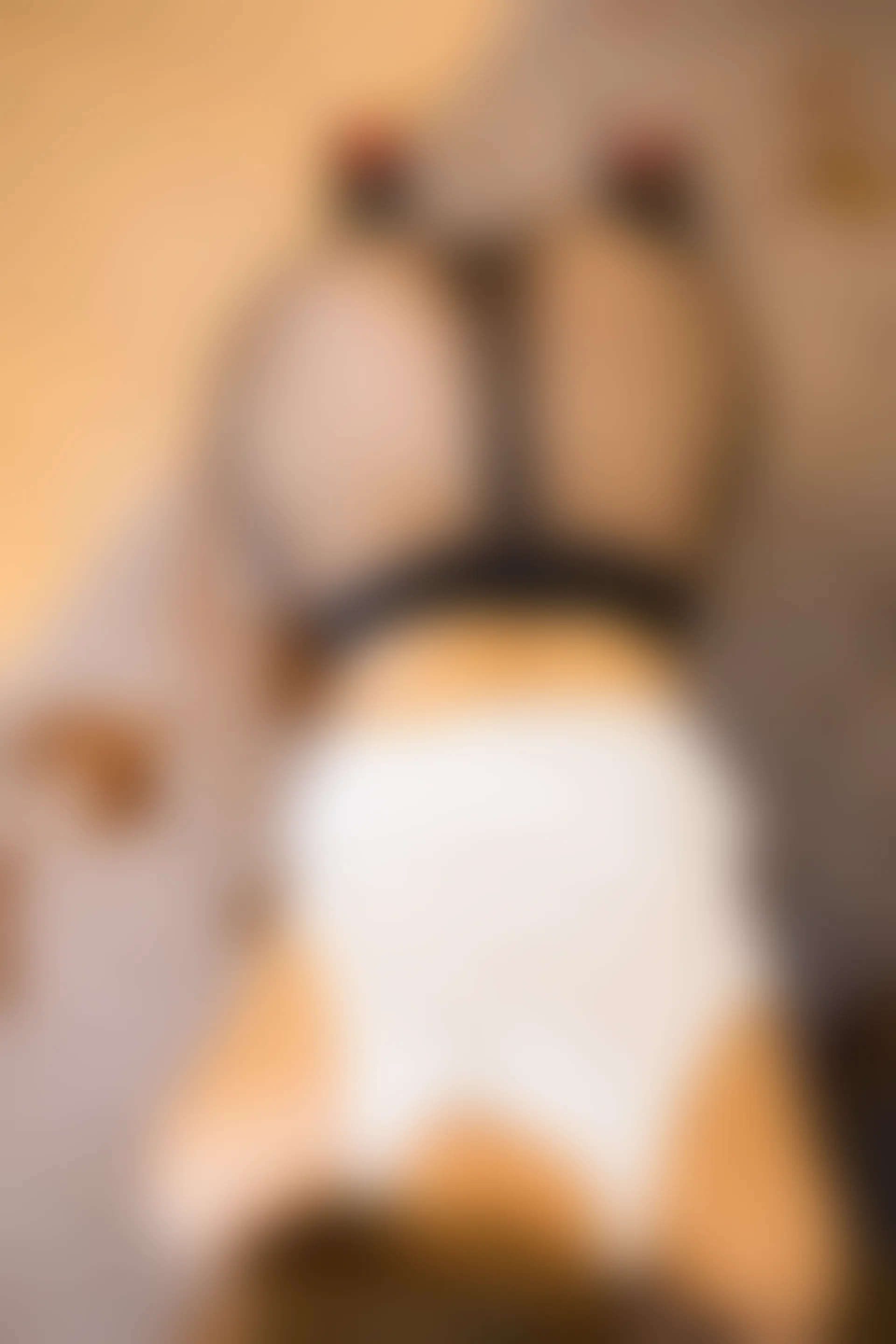 XiuRen秀人网 2018.09.18 No.1163 Miko酱 [69P273MB]