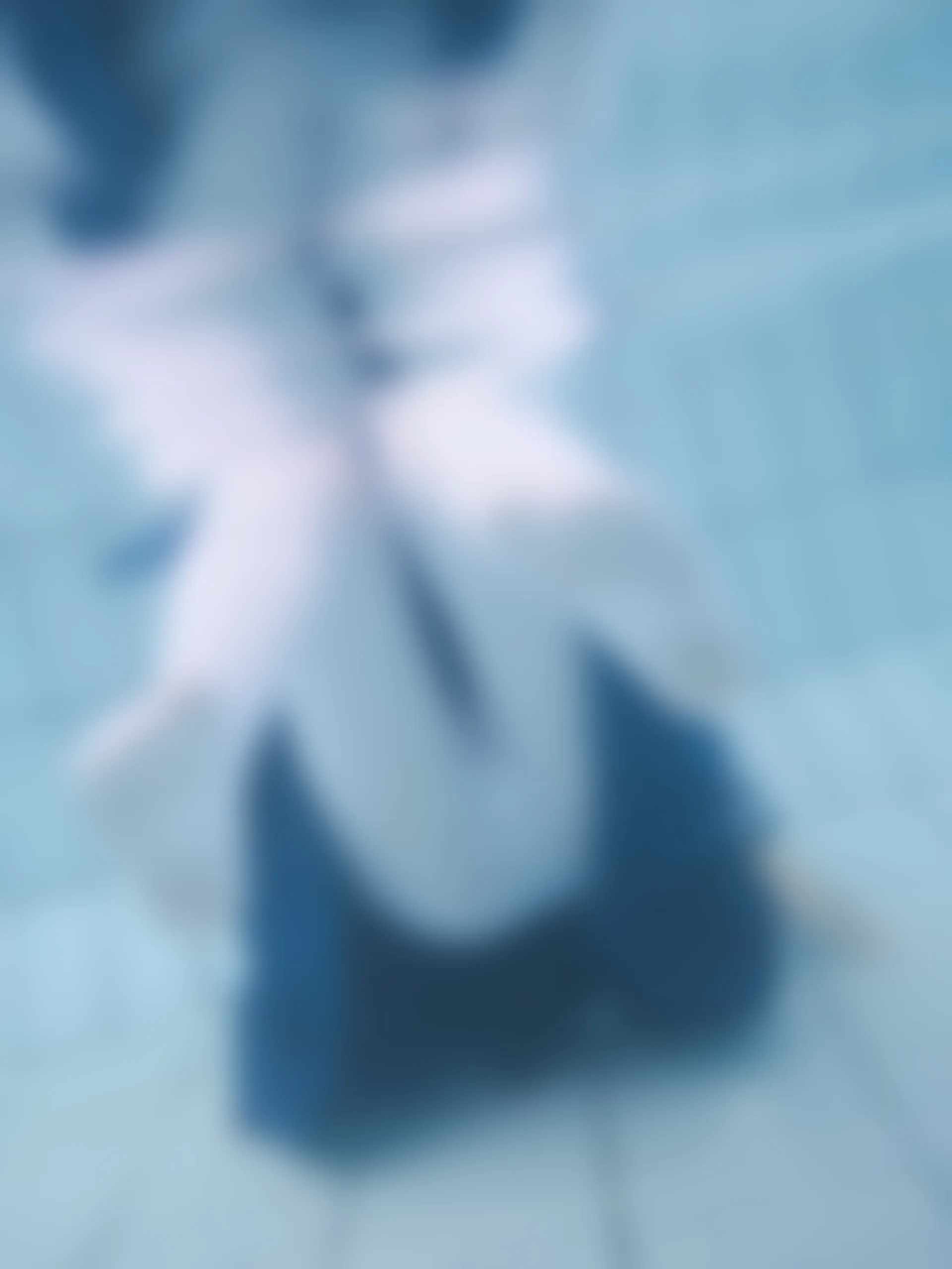 紧急企划 Y-003 咦咿yiyiyiyiyi 水下超唯美白丝jk [88P1V-1.14G]JK, 咦咿yiyiyiyiyi, 白丝, 紧急企划, 美腿, 美足