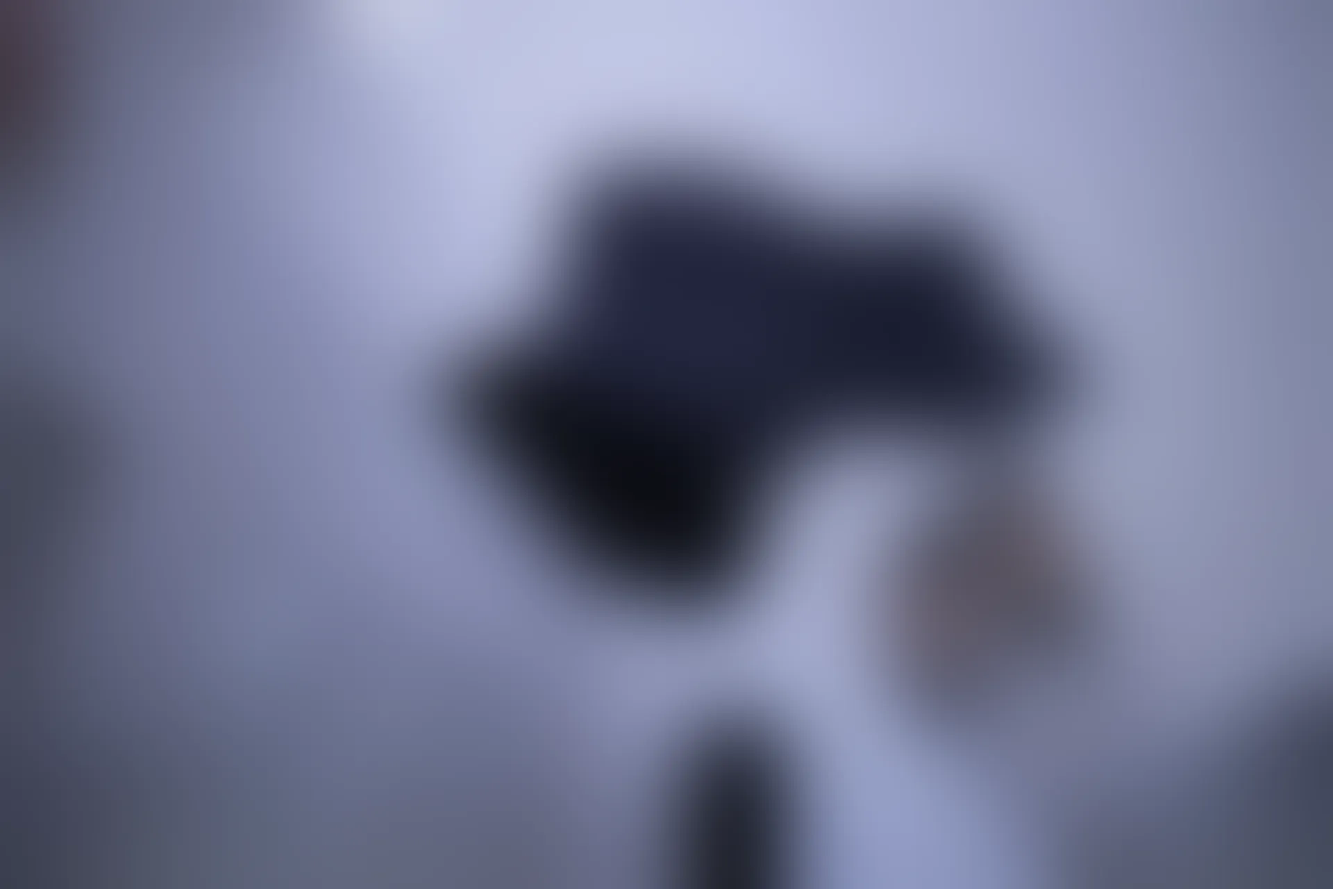 XIUREN秀人网 2024.01.29 NO.8034 唐安琪[81+1P／627MB]