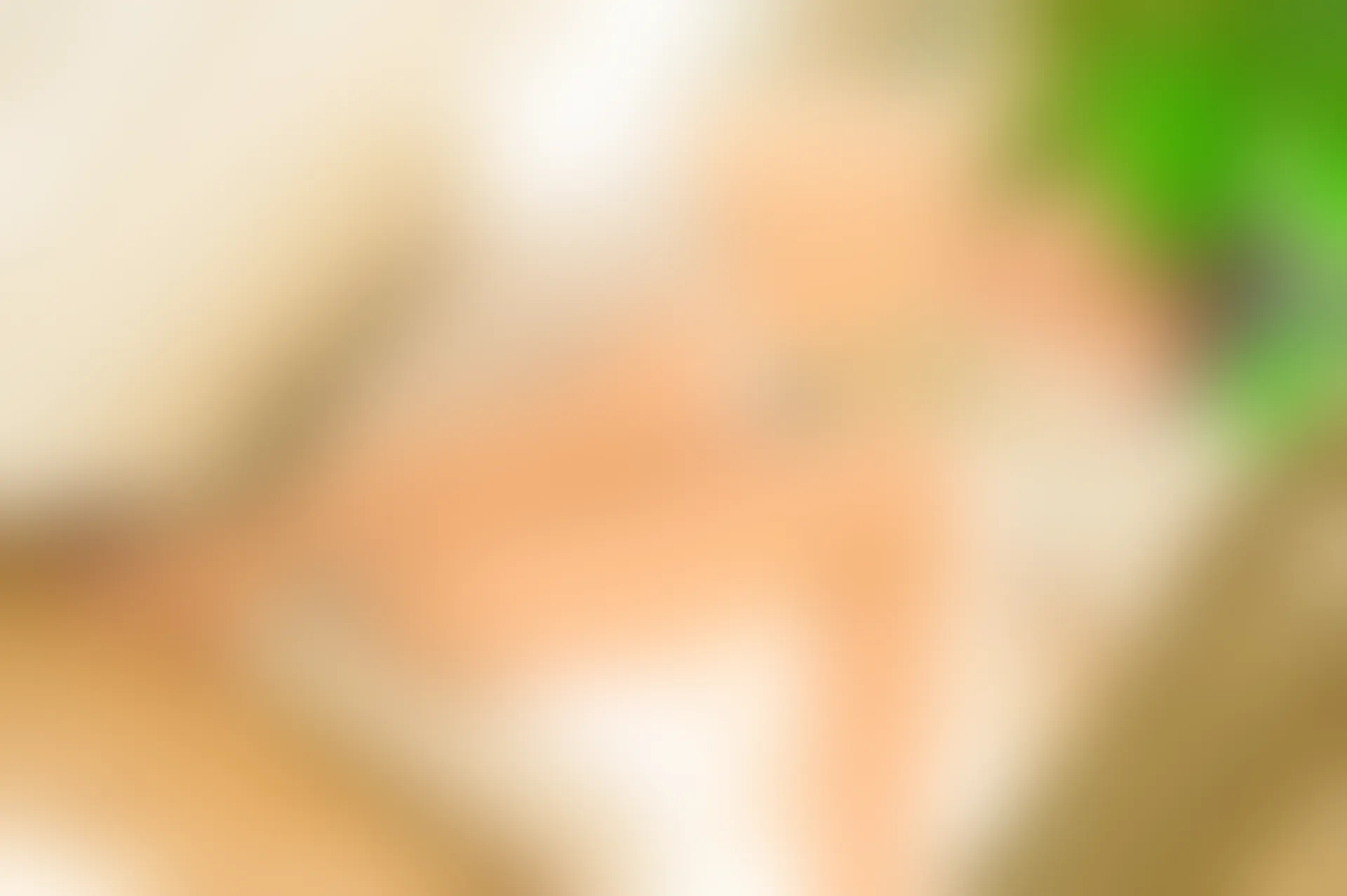 XiuRen秀人网 2016.11.21 No.641 草莓zz [64P-155M]