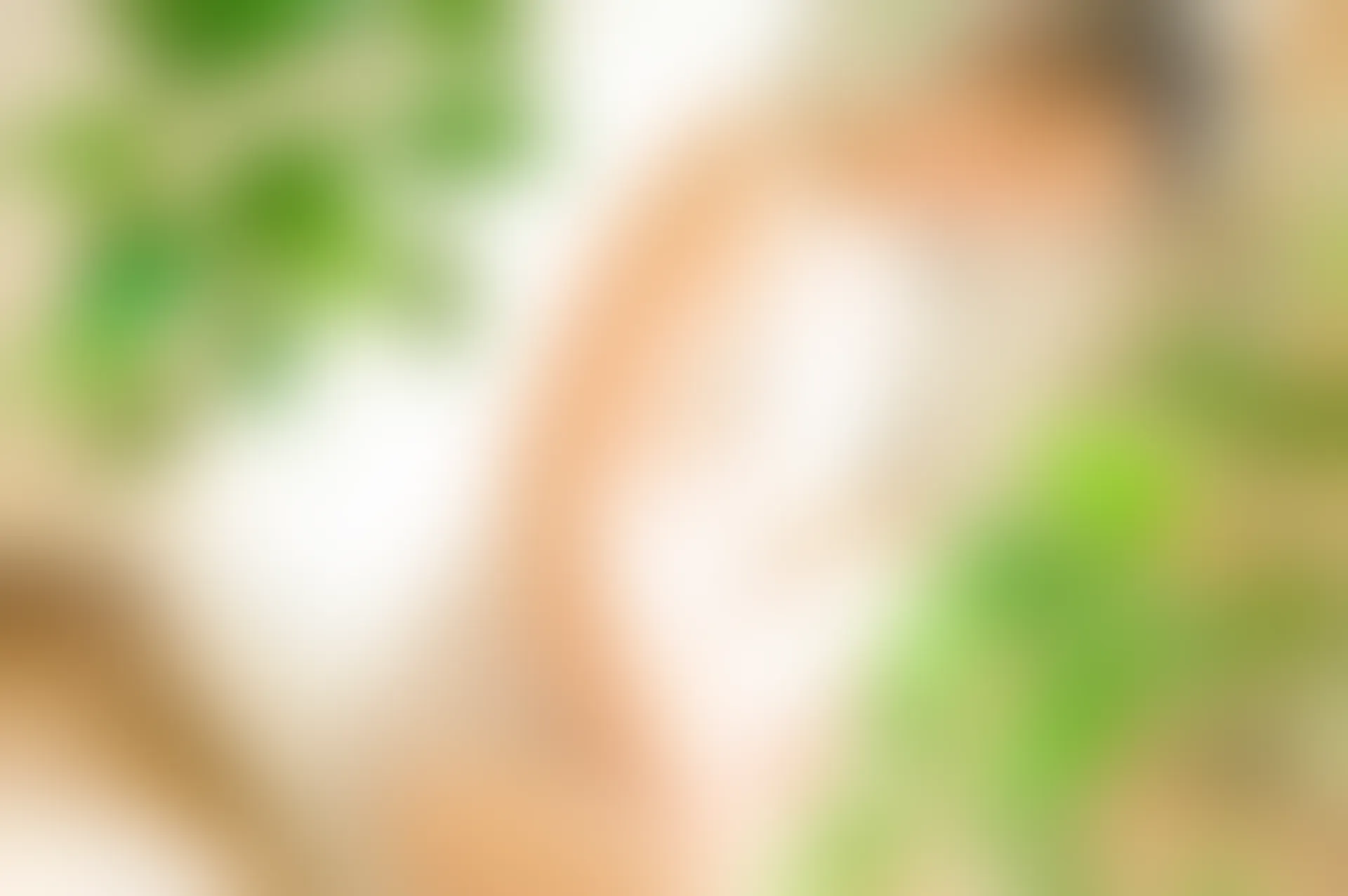 XiuRen秀人网 2016.11.21 No.641 草莓zz [64P-155M]