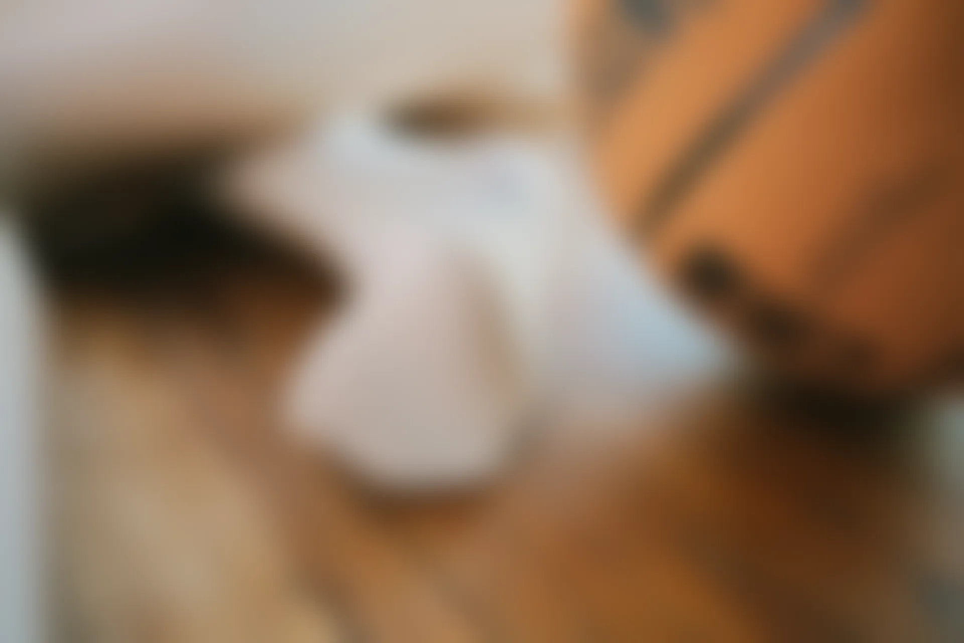 神楽坂真冬 第三季 序号32：《ハーフタイム》啦啦队少女 [150P2V-561MB]体操服, 内衣, 双马尾, 白丝, 神楽坂真冬, 美腿, 美足