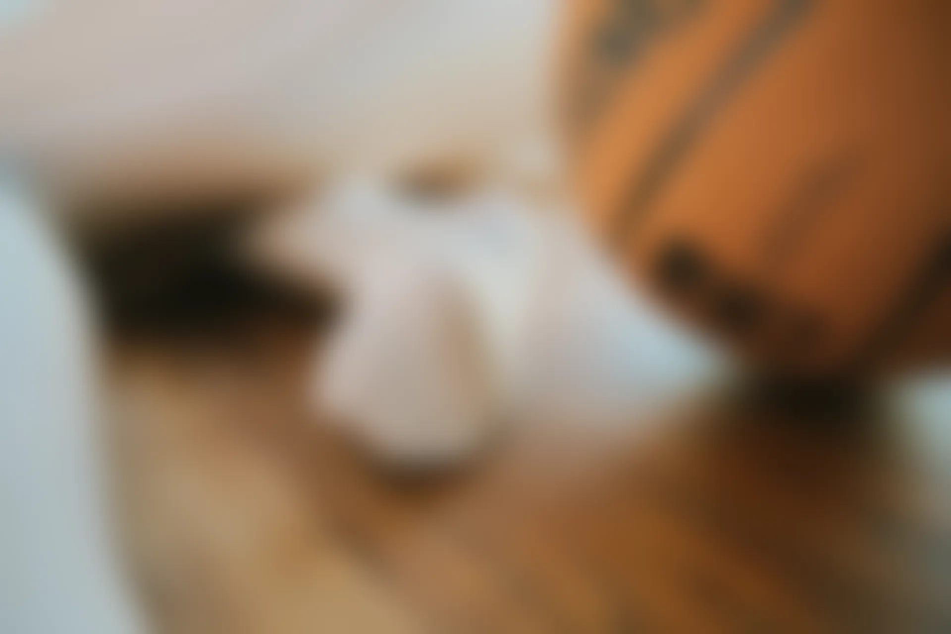 神楽坂真冬 第三季 序号32：《ハーフタイム》啦啦队少女 [150P2V-561MB]体操服, 内衣, 双马尾, 白丝, 神楽坂真冬, 美腿, 美足