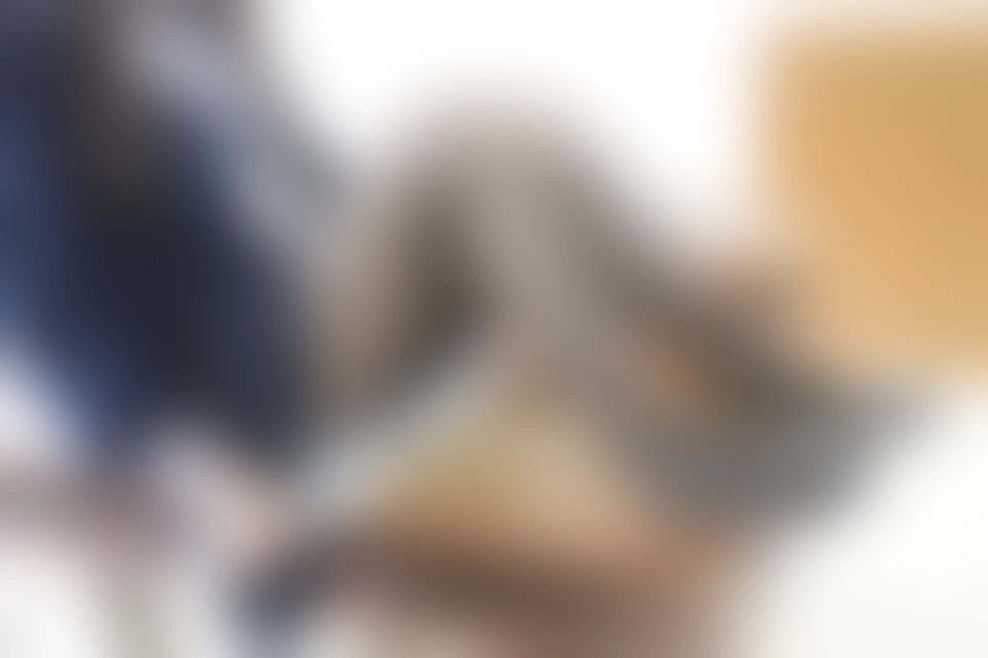 C14.007 教室里的黑丝 [39P-334MB]