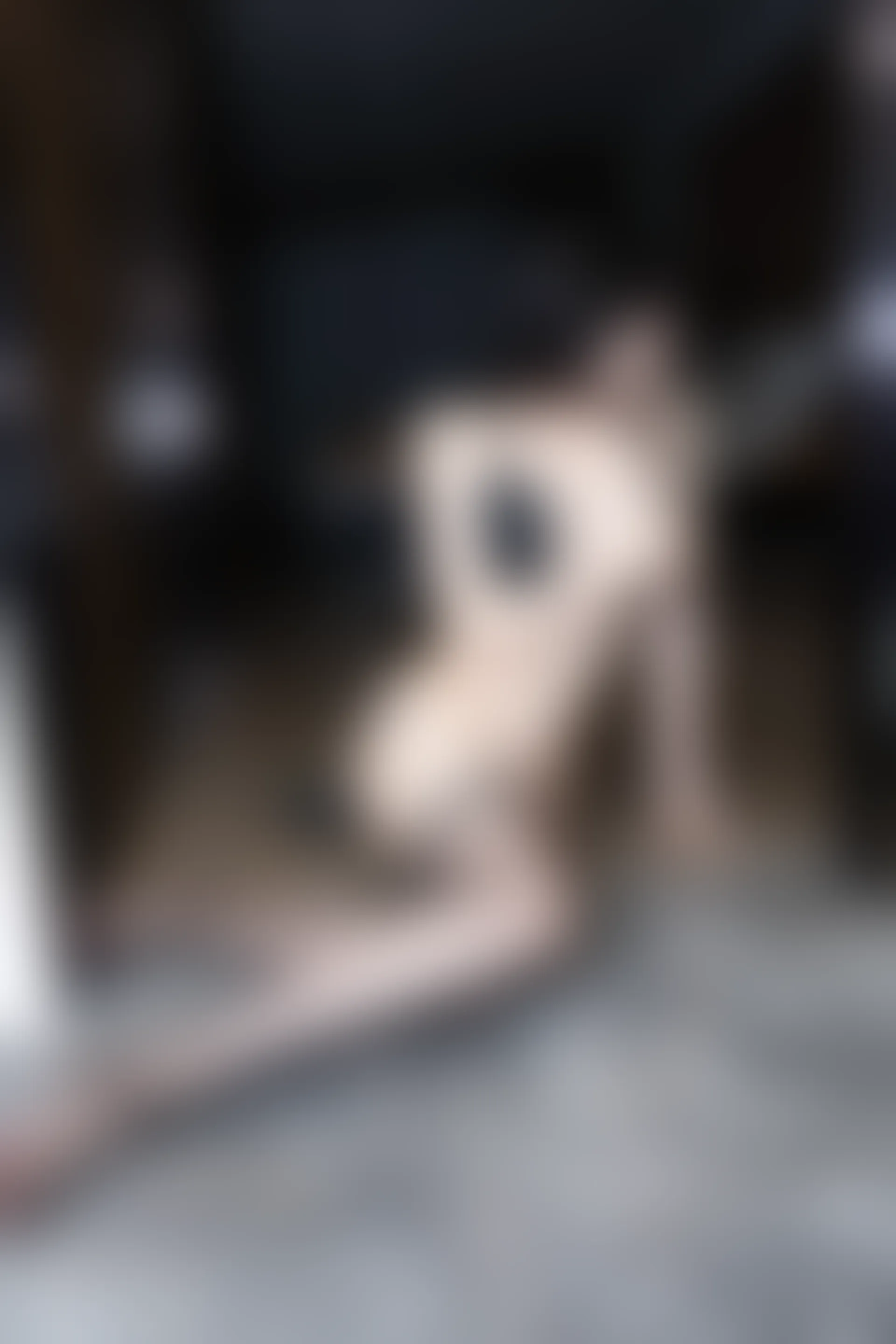 XIUREN秀人网 2023.12.15 NO.7820 徐莉芝Booty[84+1P／768MB]