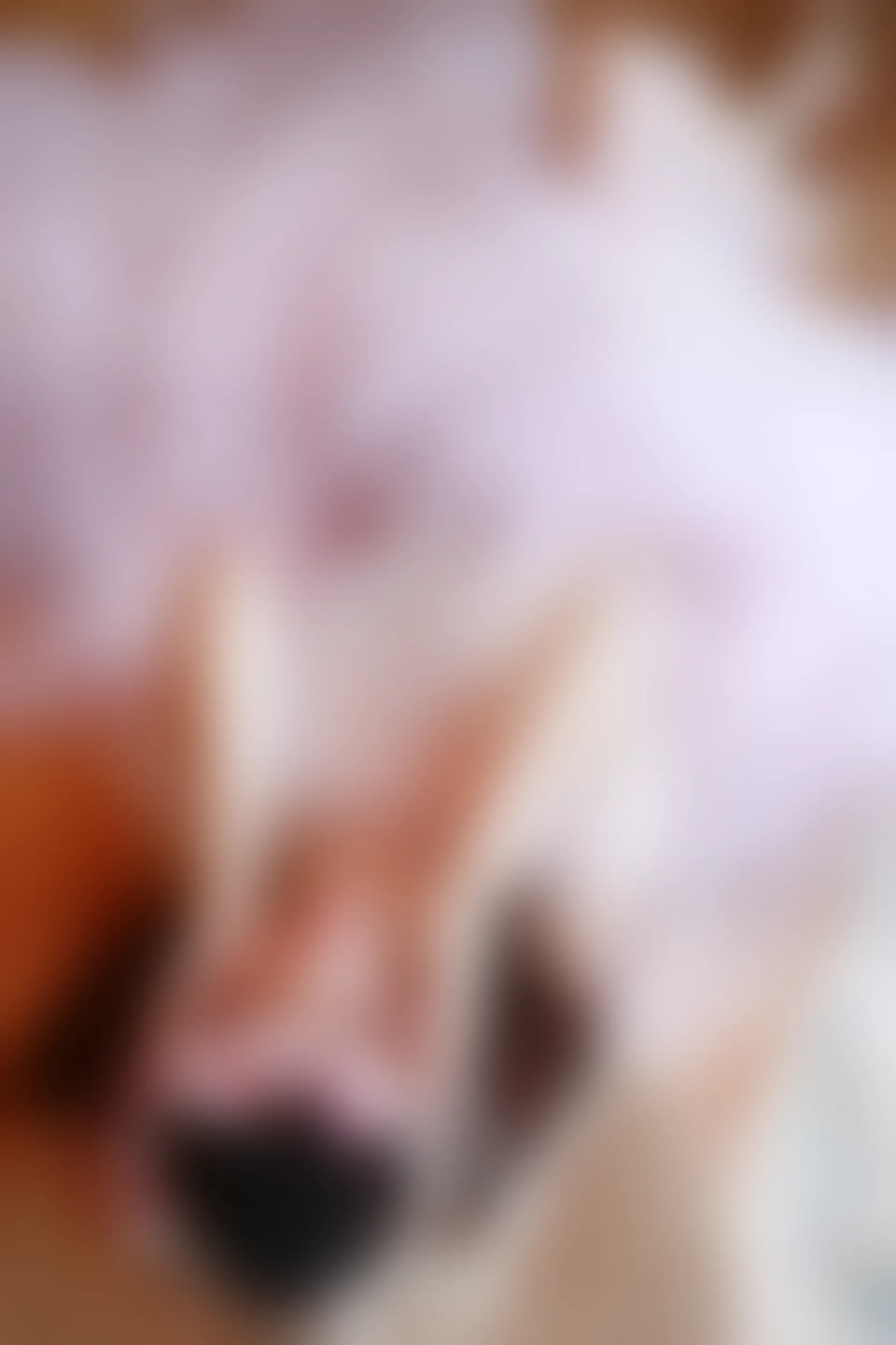 XiuRen秀人网 2015.08.12 No.376 高溜MilkCat[120+1P61M]