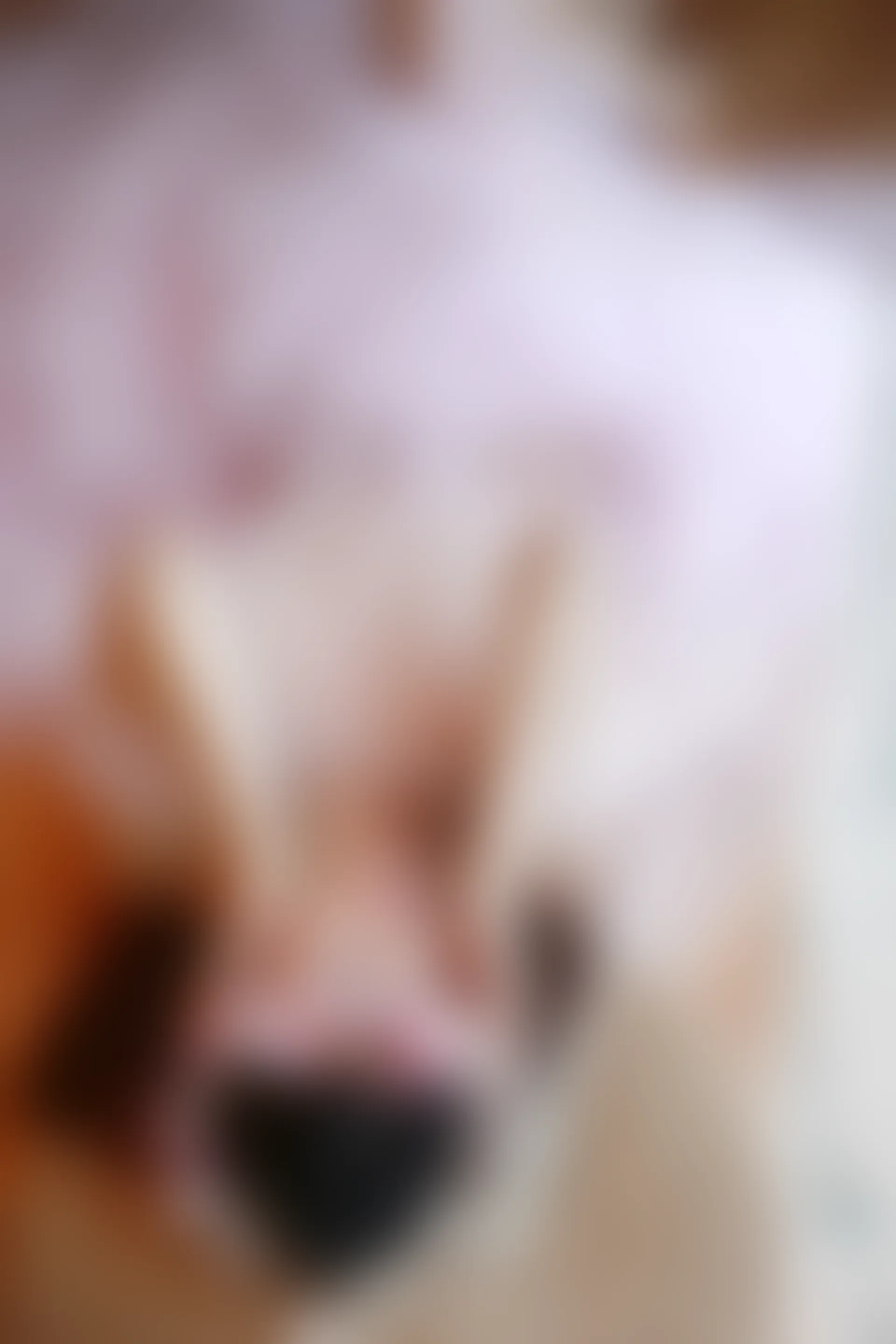 XiuRen秀人网 2015.08.12 No.376 高溜MilkCat[120+1P61M]