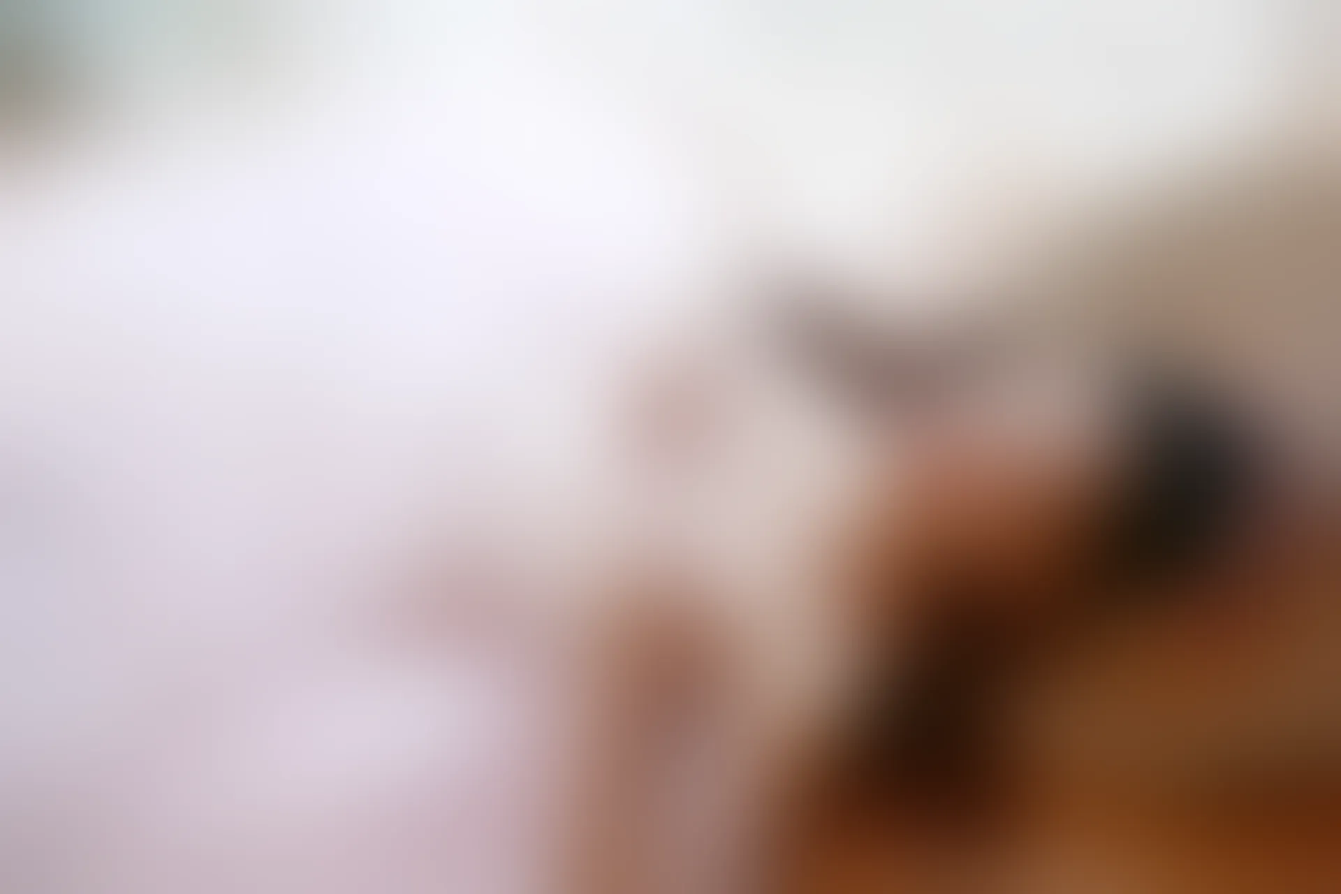 XiuRen秀人网 2015.08.12 No.376 高溜MilkCat[120+1P61M]