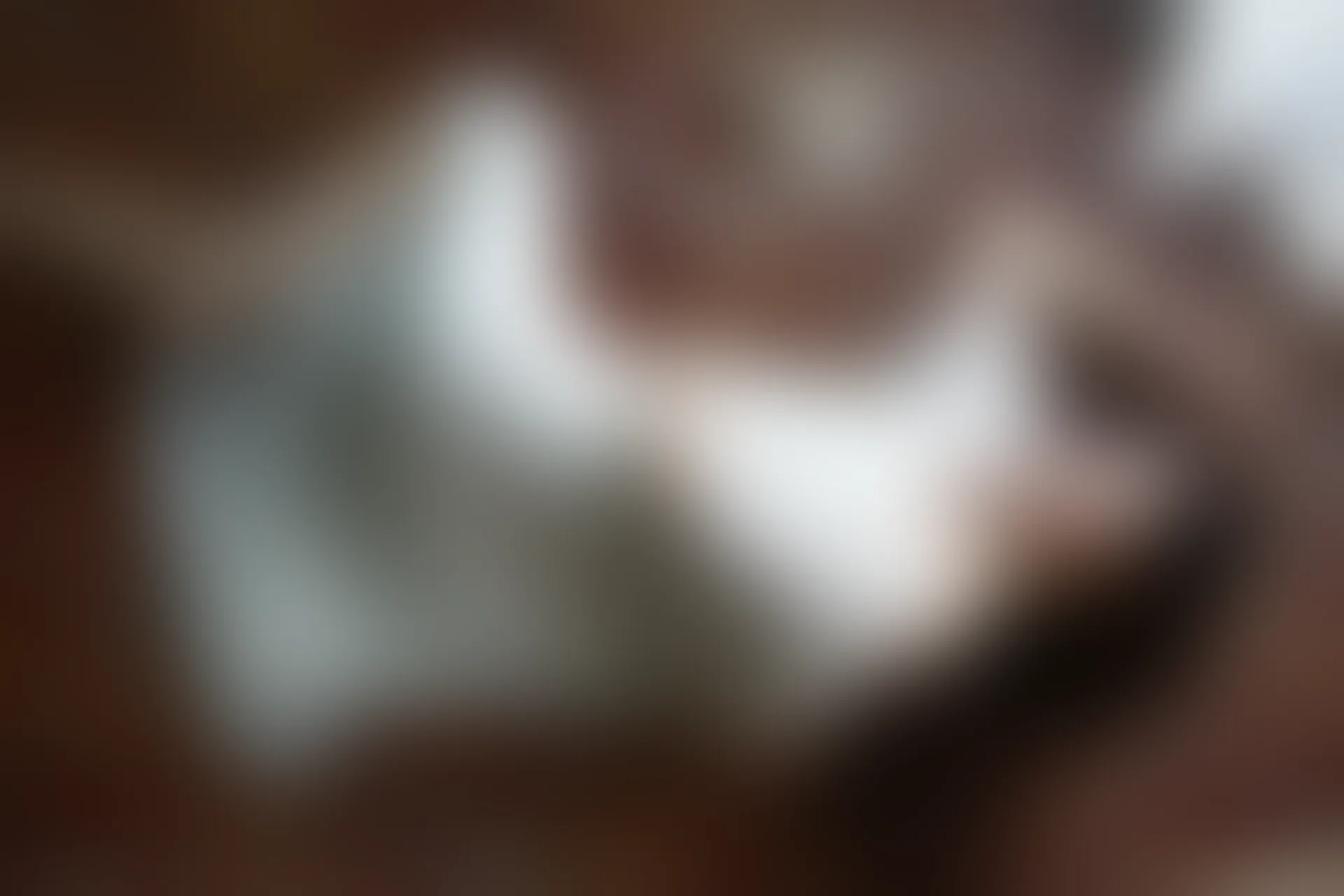 XiuRen秀人网 2015.08.12 No.376 高溜MilkCat[120+1P61M]