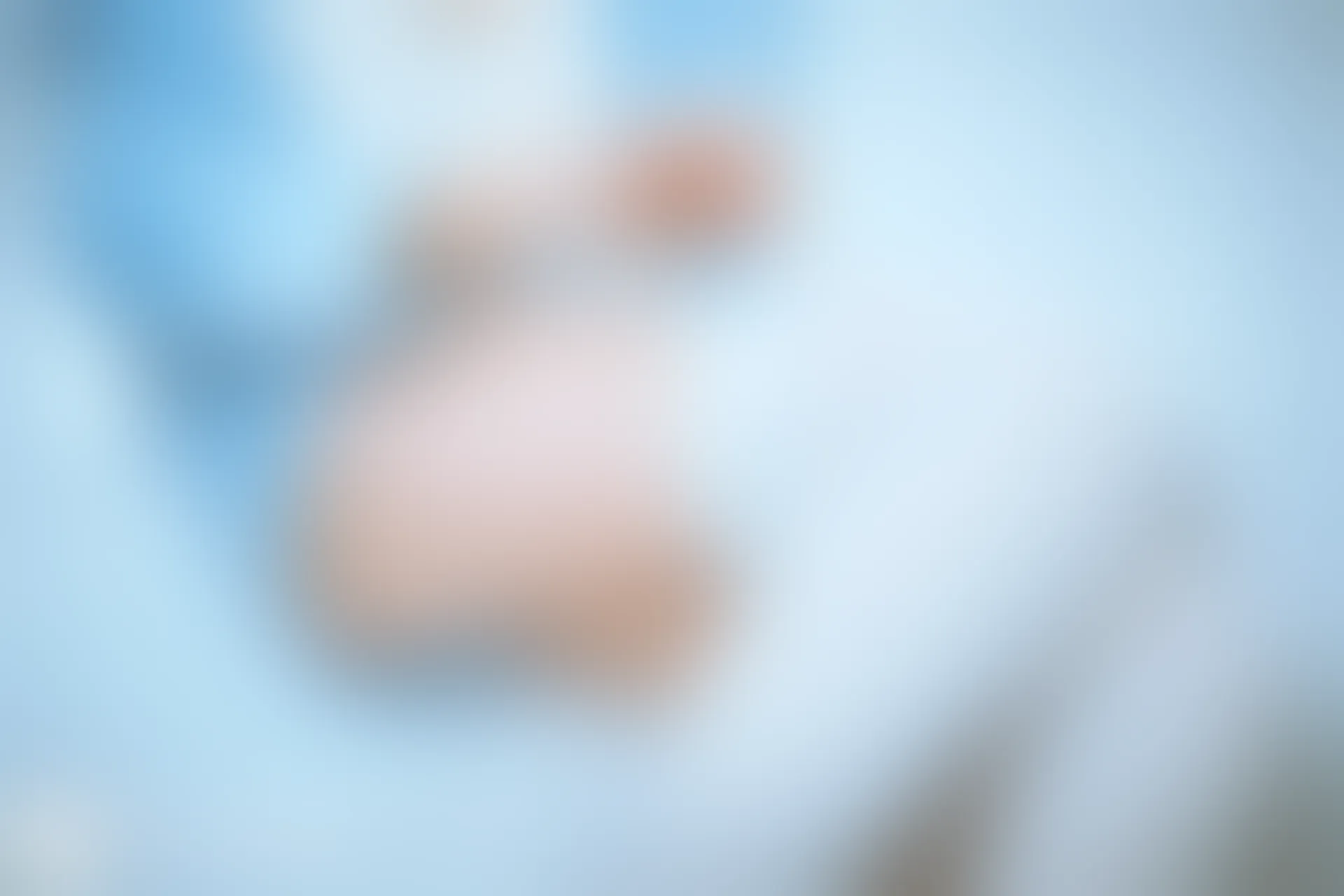 D57.004 蕾姆睡衣 [43P-321MB]
