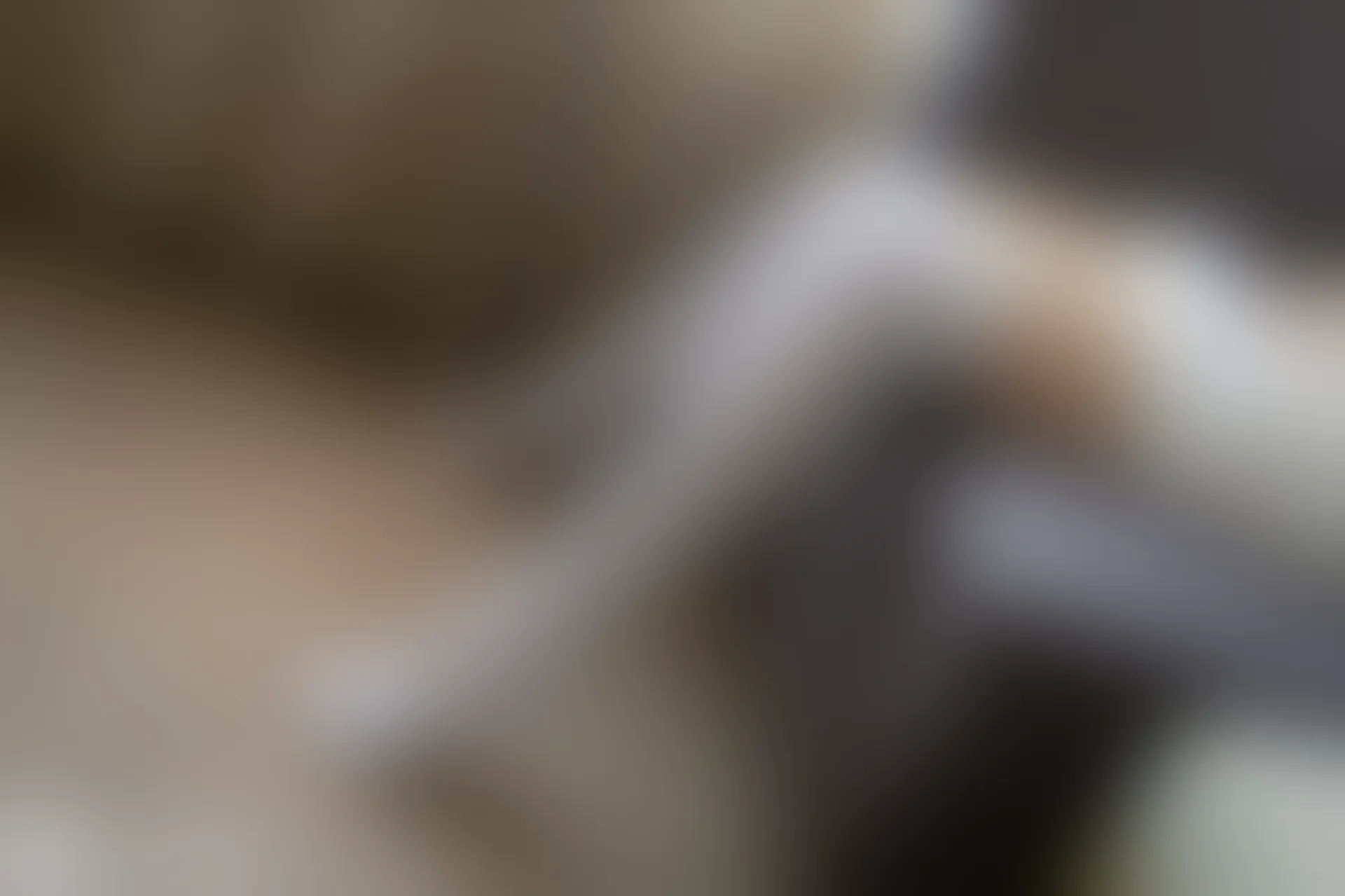 C38.001 白丝T恤裙 [40P-85MB]