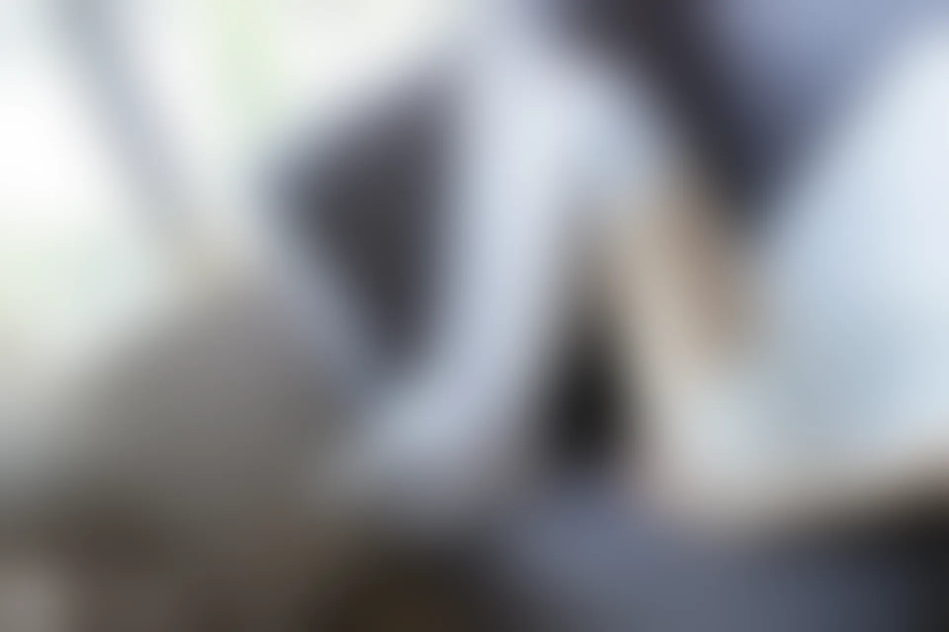 C38.001 白丝T恤裙 [40P-85MB]