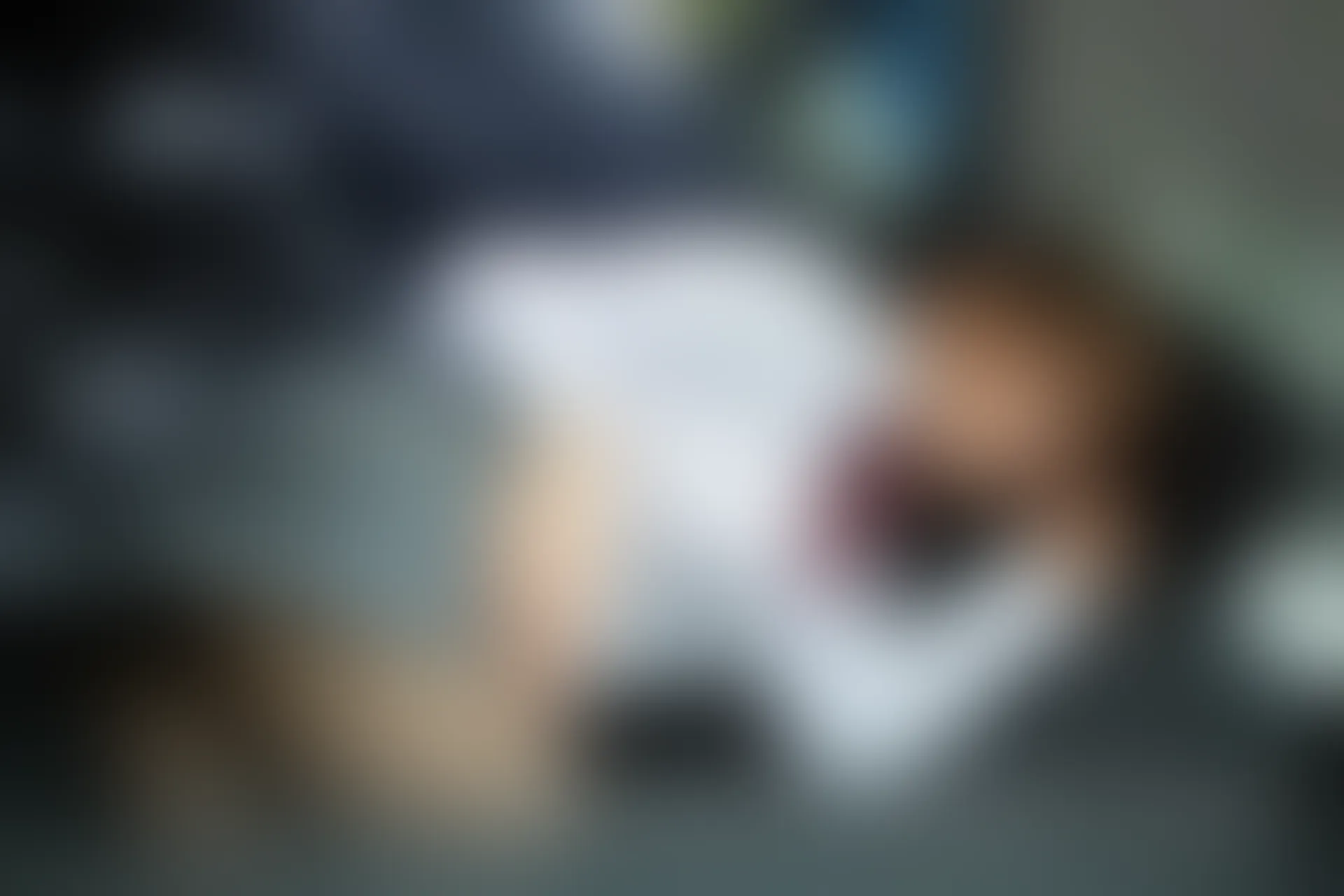 XiuRen秀人网 2020.05.07 No.2225 陶喜乐_lele[92+1P218M]