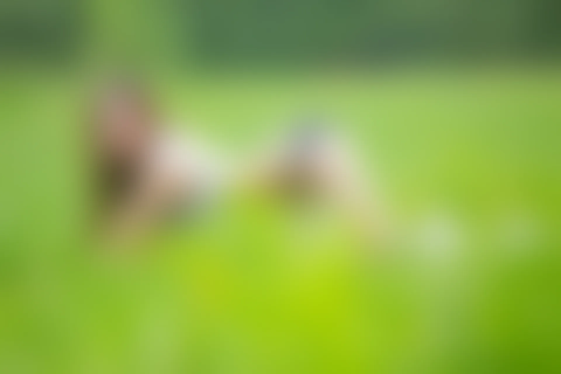 XiuRen秀人网 2018.08.23 No.1130 艾小青[47+1P120M]