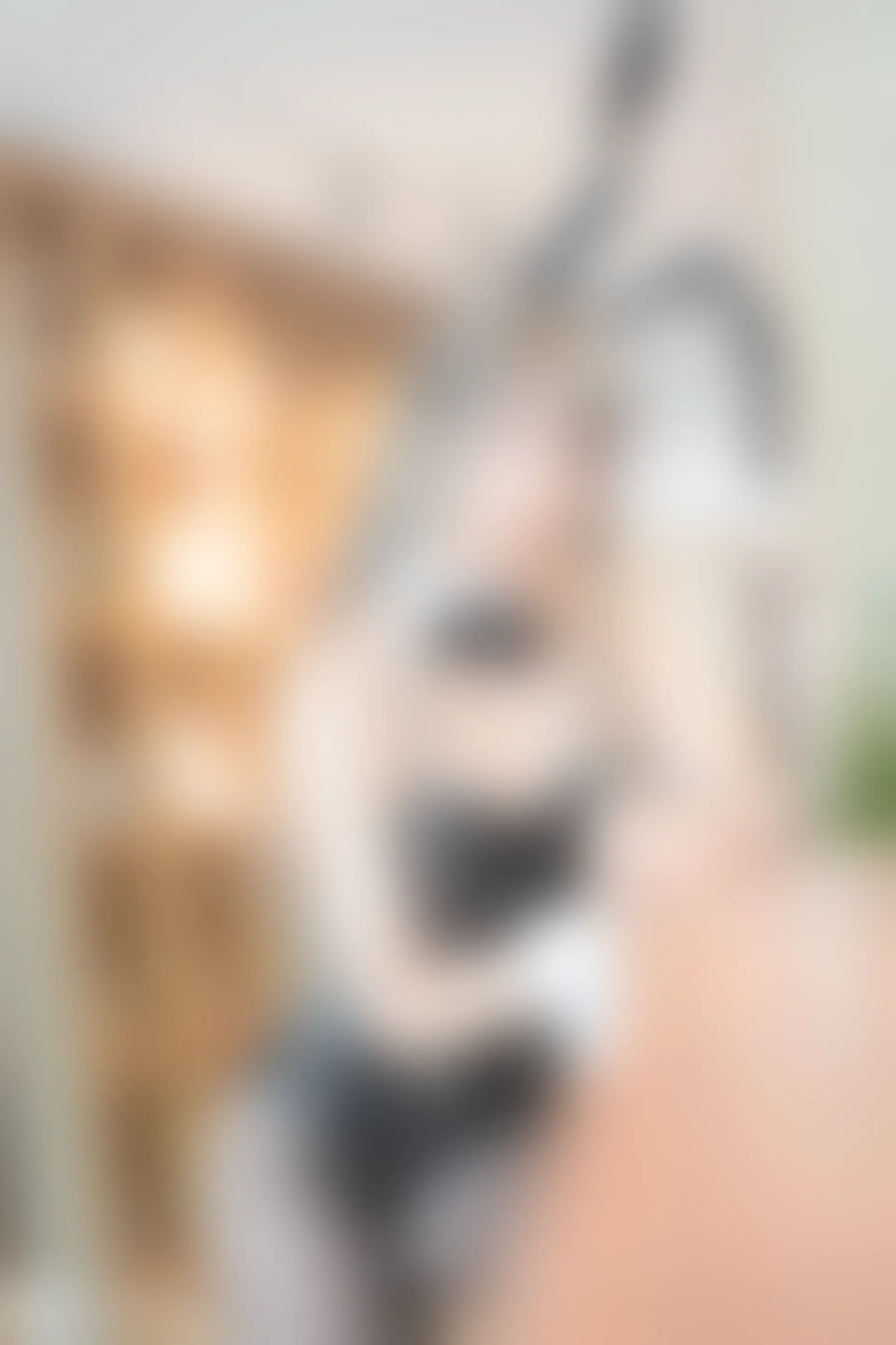 兔玩映画 兔女郎 Vol.045 姐姐 [40P-611MB]