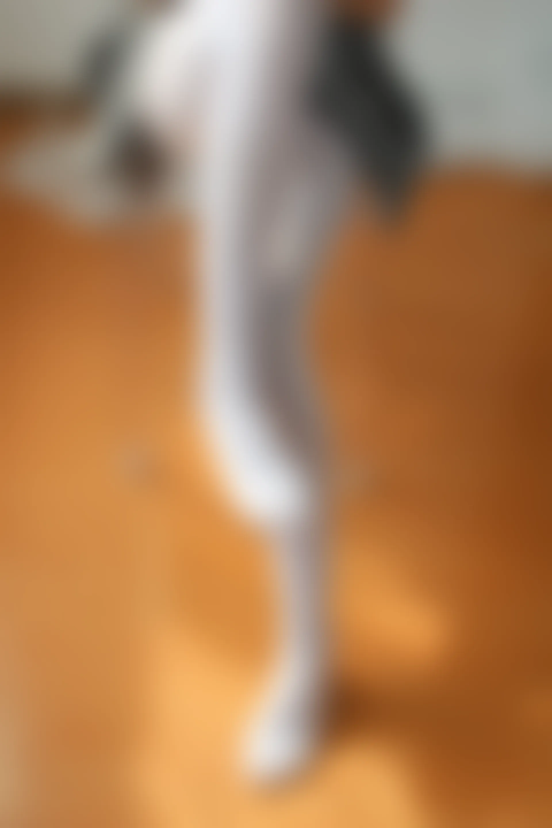 森萝财团 BETA-029 [182P-1.6G]学生装, 森萝财团, 白丝, 美腿