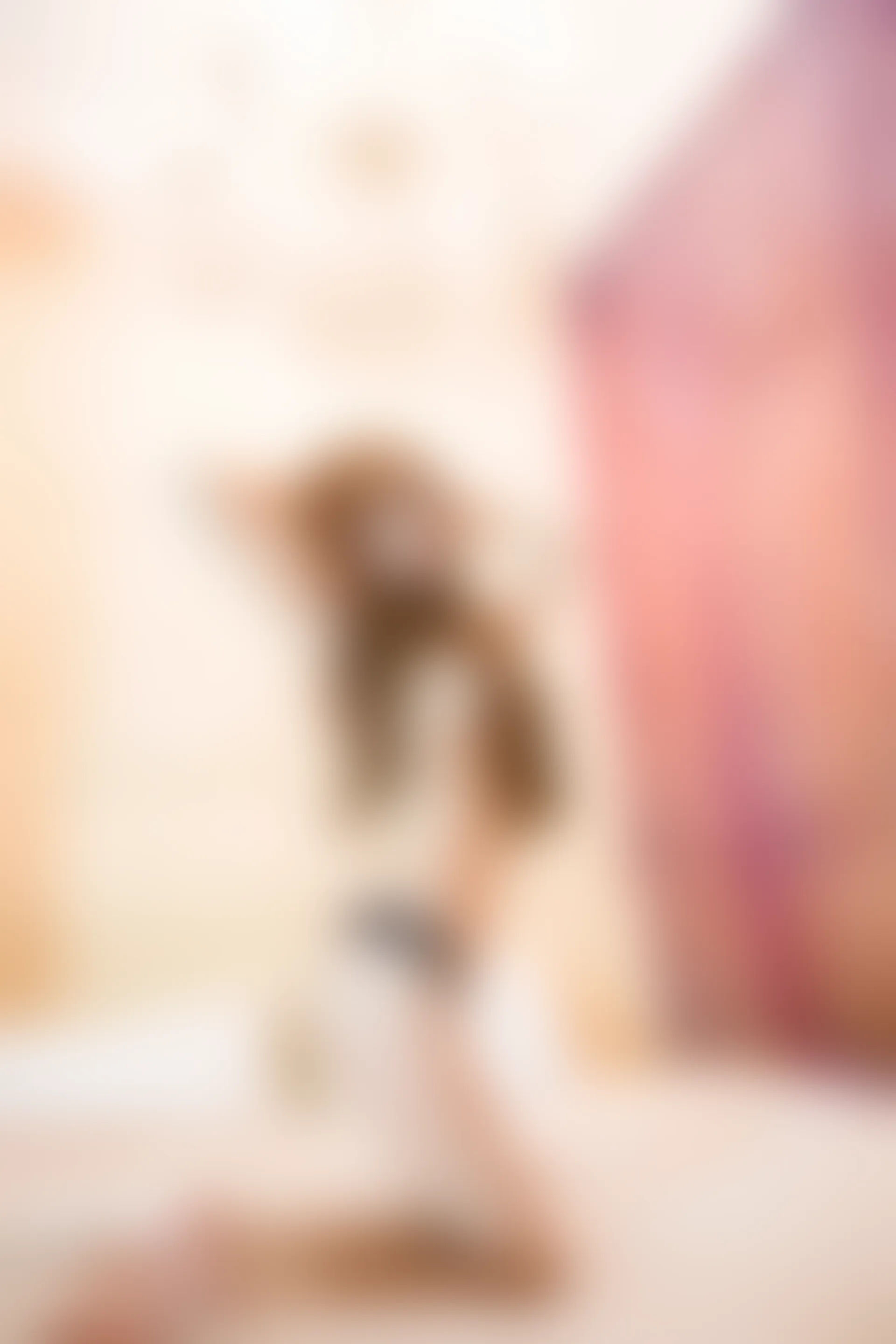 XiuRen秀人网 2014.02.28 No.106 桓淼淼 [70P-165MB]