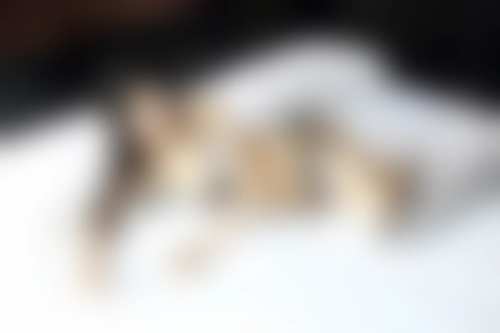 XiuRen秀人网 2015.07.22 No.358 张美荧[66+1P77M]