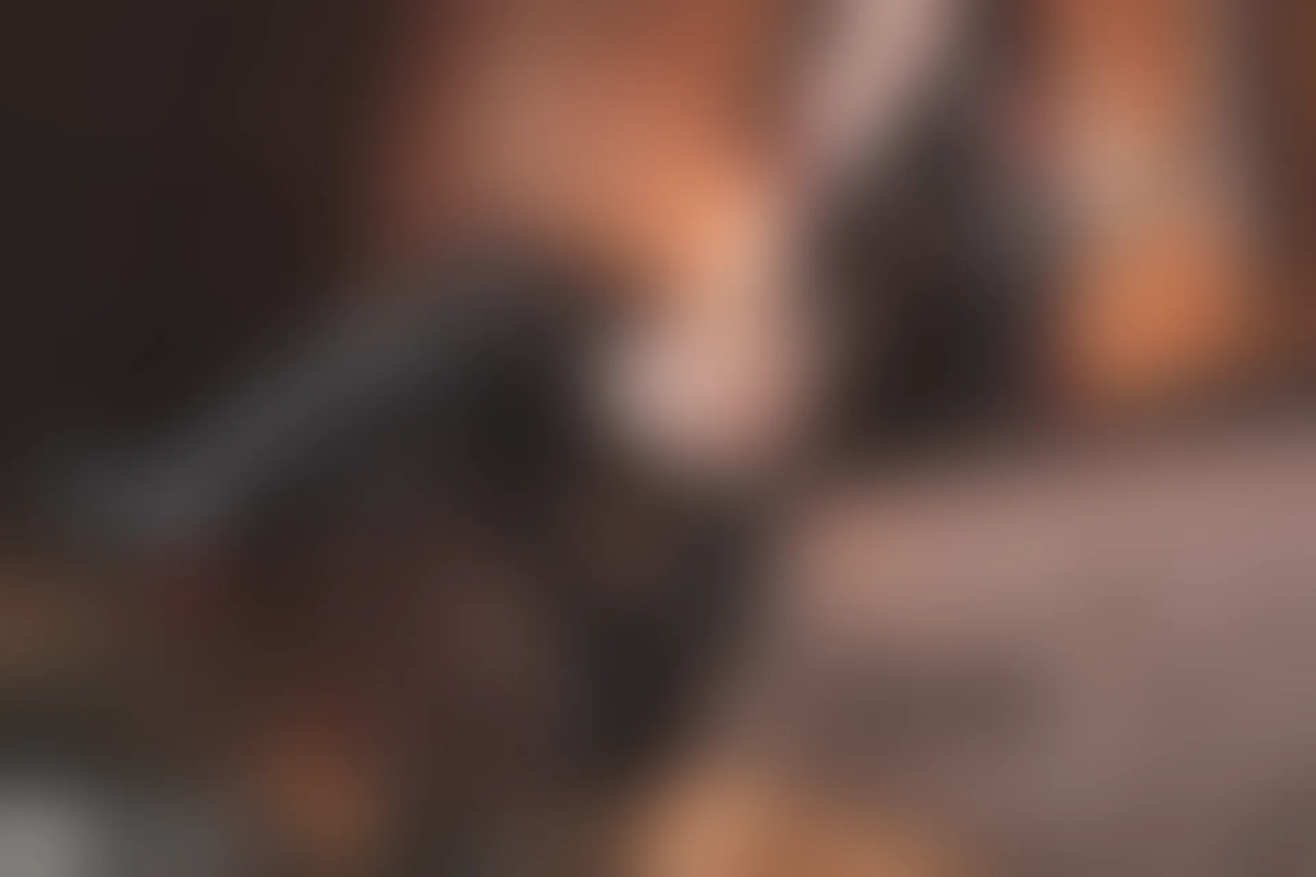 C47.001 M1887和托卡列夫 [44P-691MB]