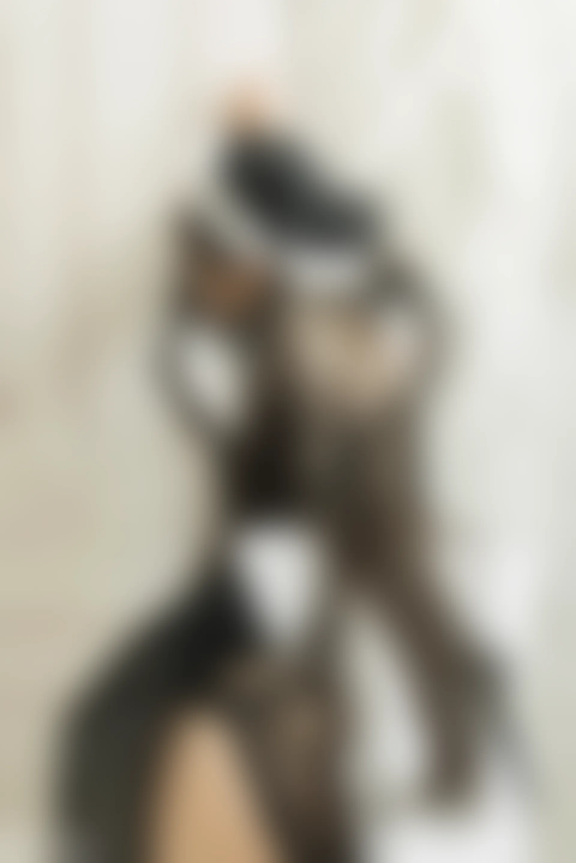 C19.005 猫耳女仆装 [40P-824MB]