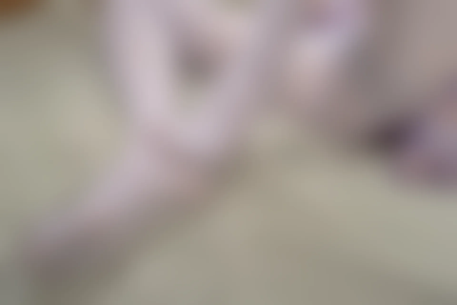 森萝财团 内部VIP系列 雏菊-01 双马尾白丝JK制服 [124P1V-4.78GB]
