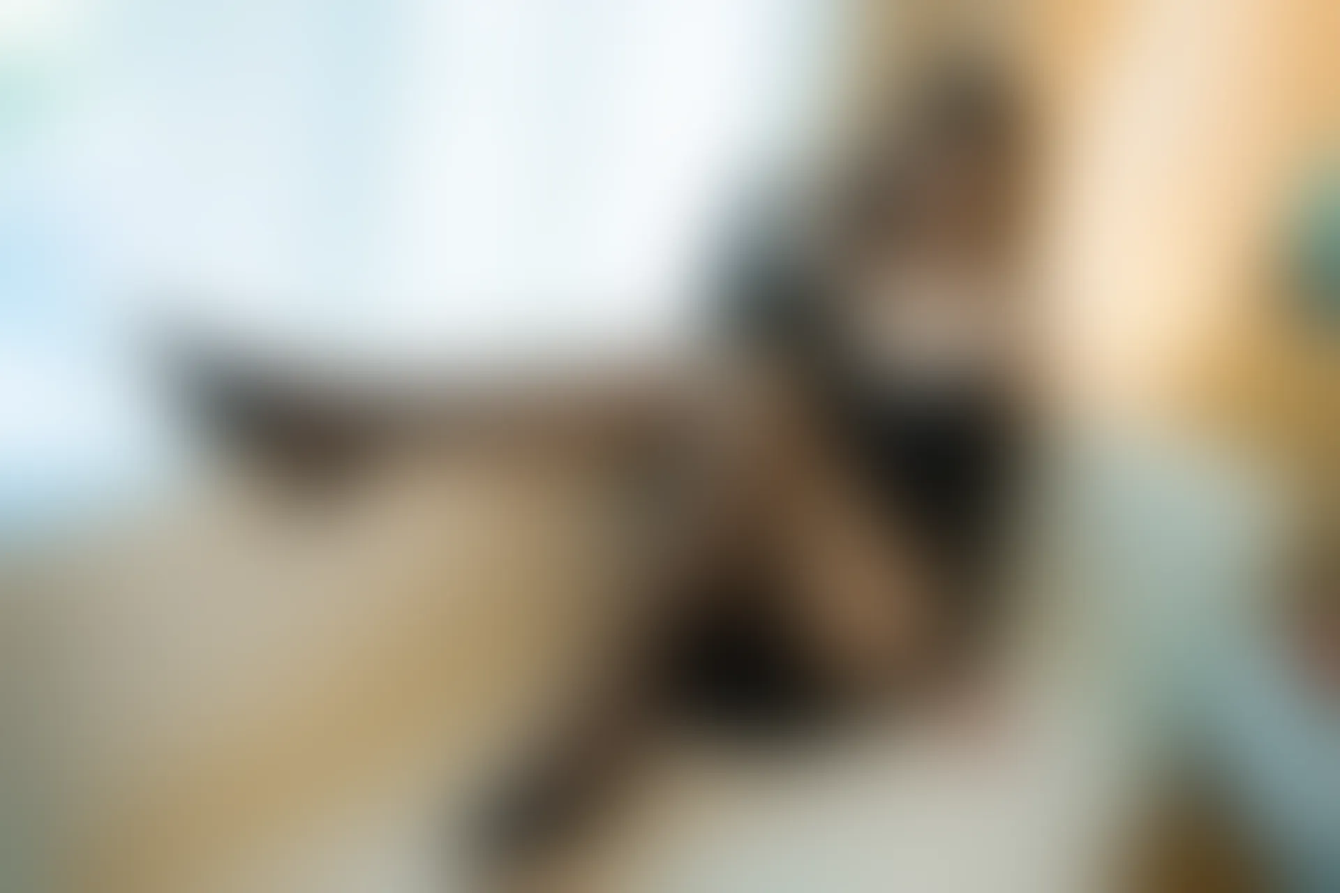 XIUREN秀人网 2023.08.04 NO.7184 章芃芃[92+1P／820MB]