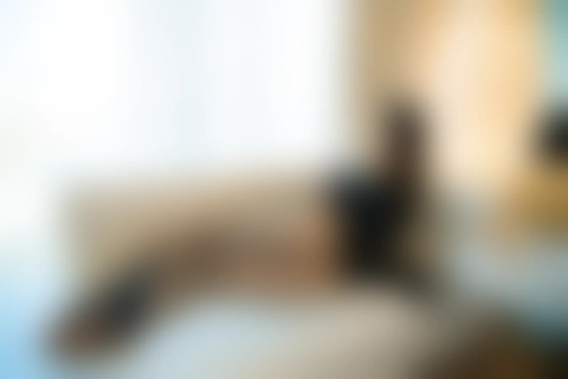 XIUREN秀人网 2023.08.04 NO.7184 章芃芃[92+1P／820MB]