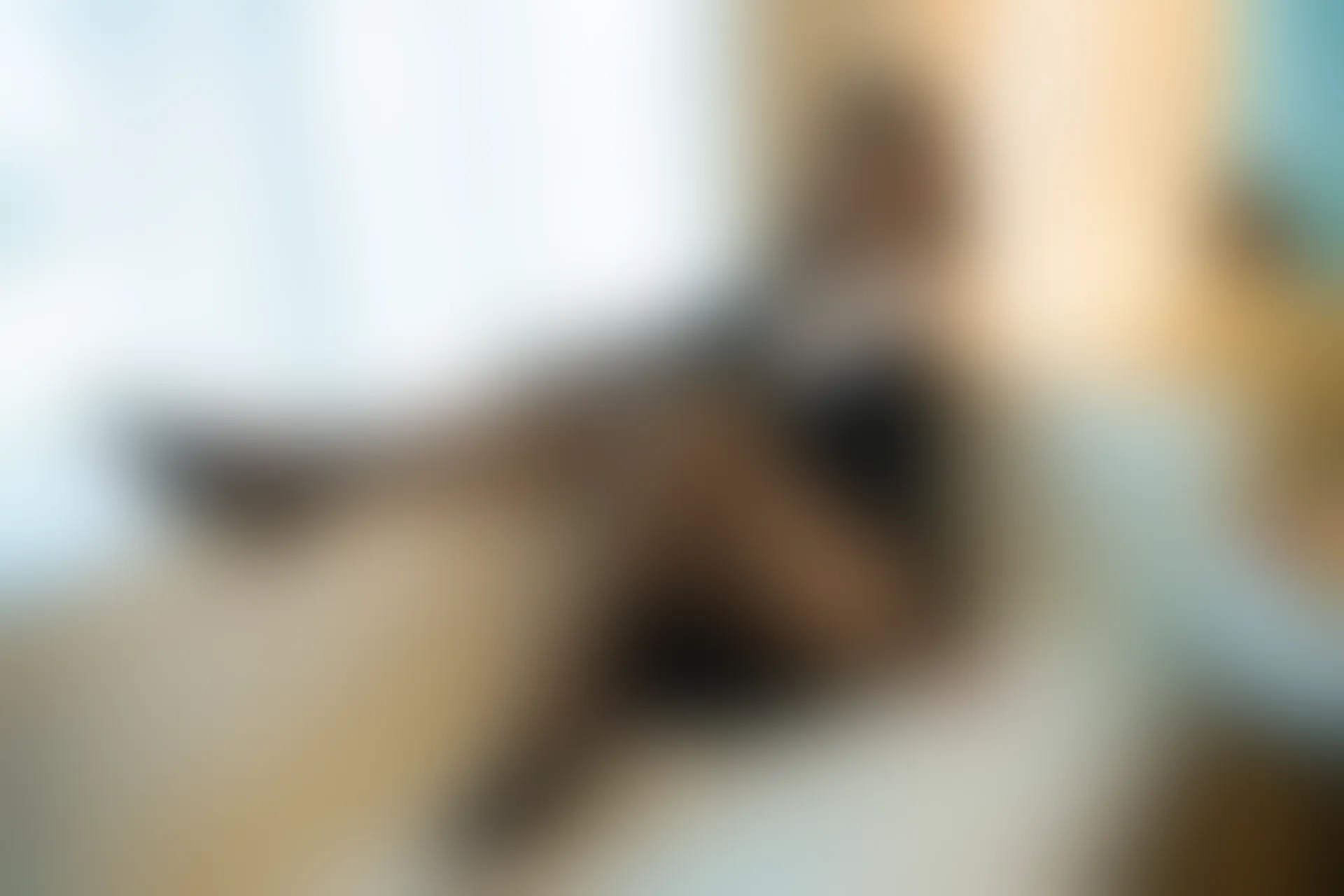 XIUREN秀人网 2023.08.04 NO.7184 章芃芃[92+1P／820MB]