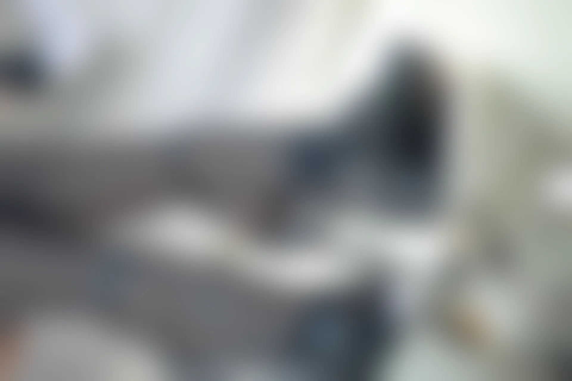 神楽坂真冬 第四季 序号8：《黑丝胡桃》 [75P-165MB]内衣, 旗袍, 神楽坂真冬, 美腿, 美足, 高跟鞋, 黑丝