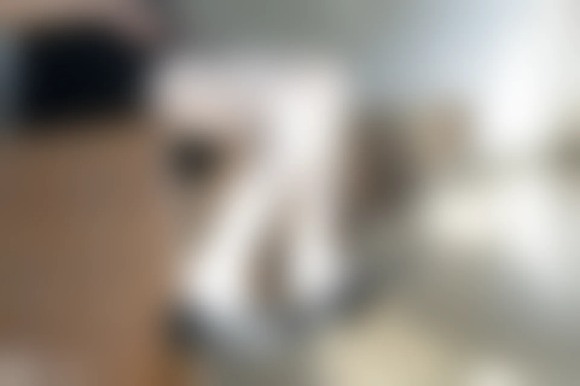 C24.006 蕾丝袜 [40P-331MB]