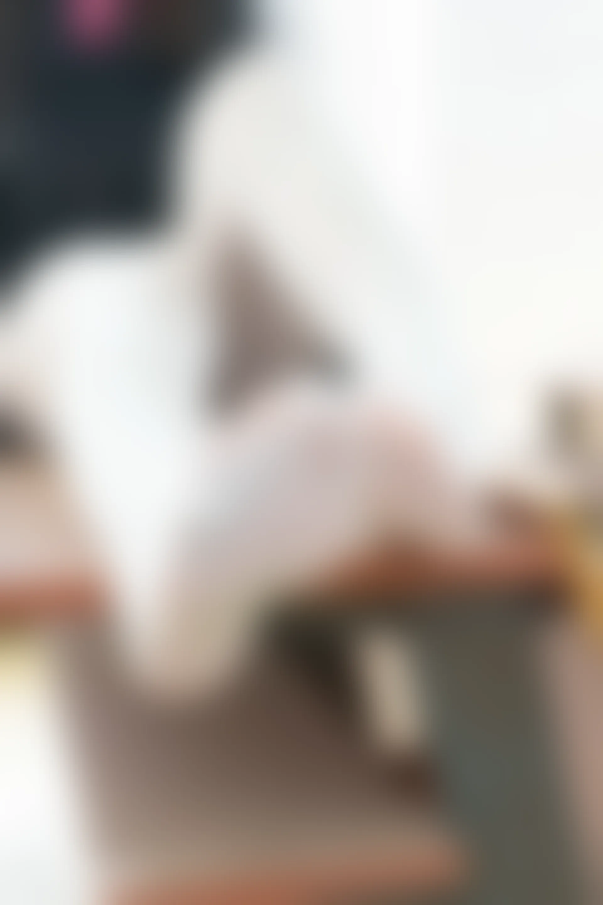 C24.006 蕾丝袜 [40P-331MB]