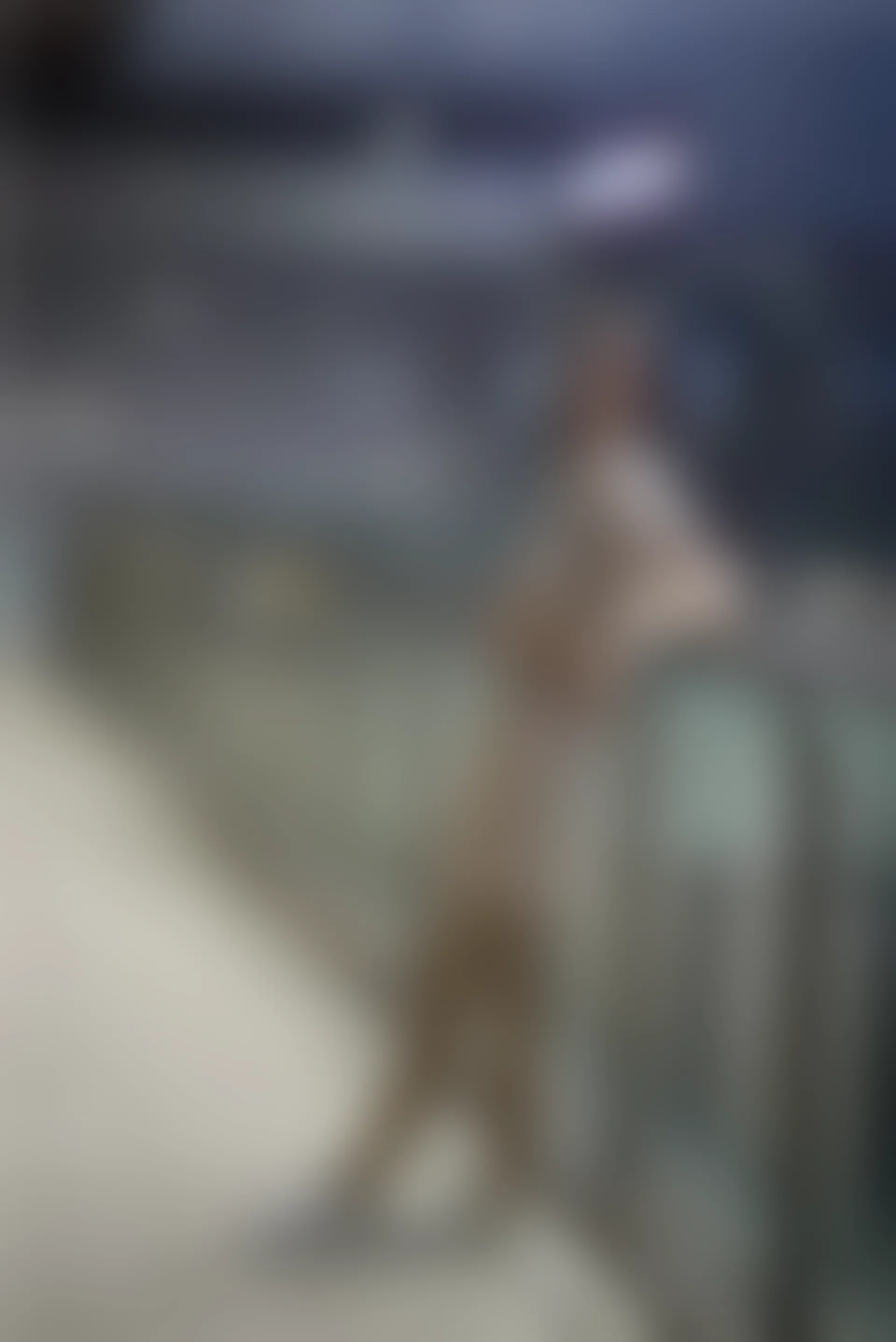 初夏女神 NO.075 大发 时尚短裤套装[130P+1V／6.82GB]