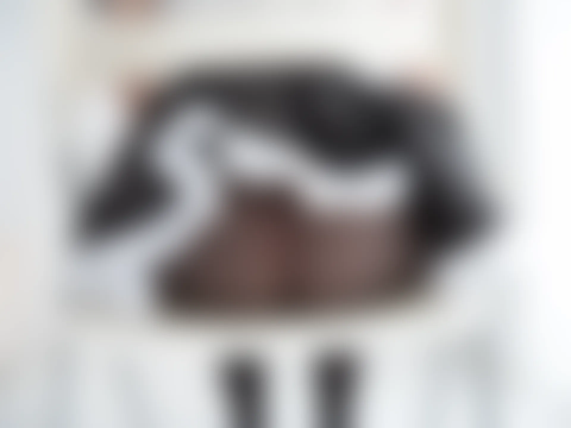 紧急企划 内部-007 奶昔 双马尾黑丝女仆 [50P1V-2.17GB]双马尾, 女仆, 奶昔, 紧急企划, 美腿, 美足, 黑丝