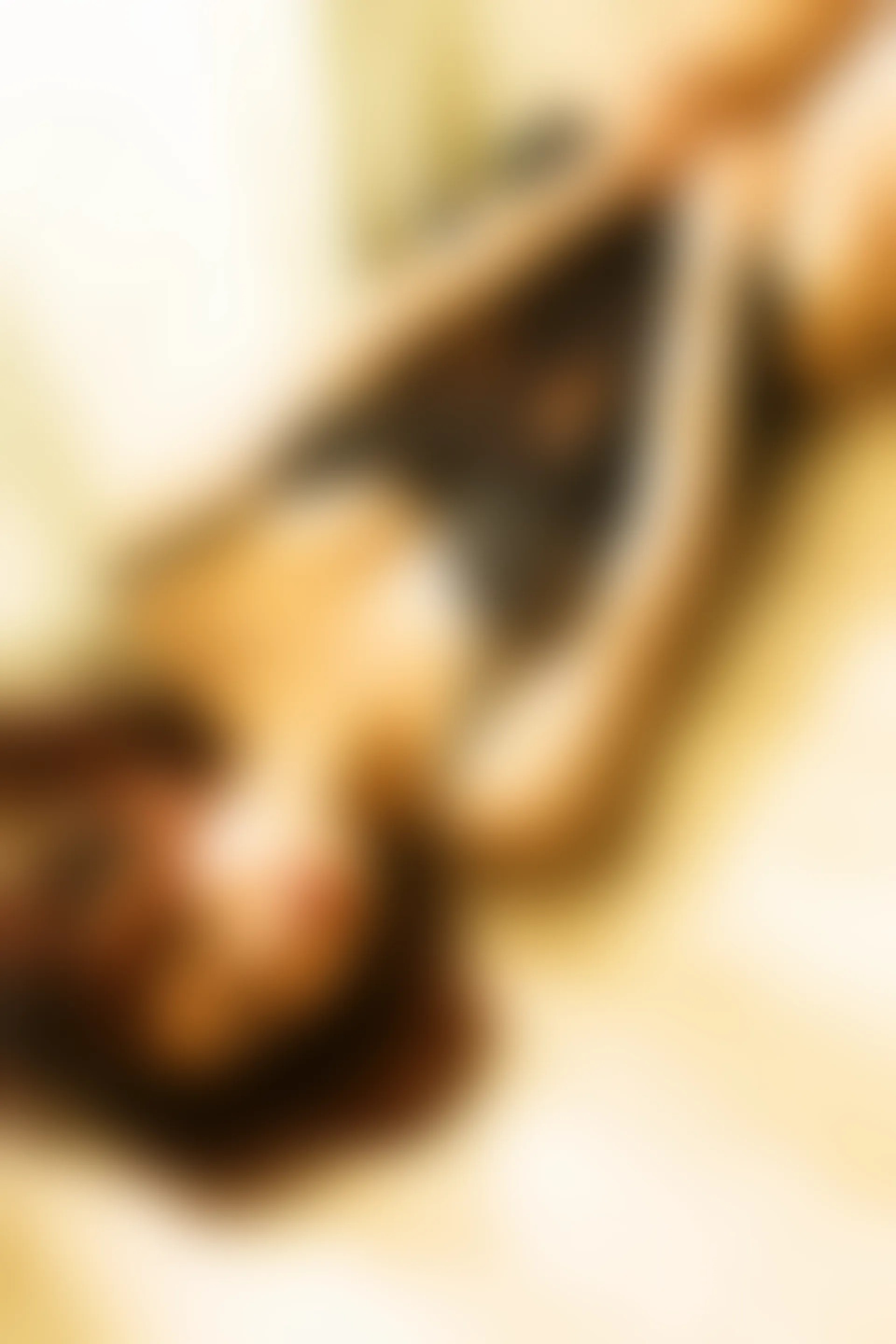 XiuRen秀人网 2014.08.11 No.202 Medusa [51+1P165M]