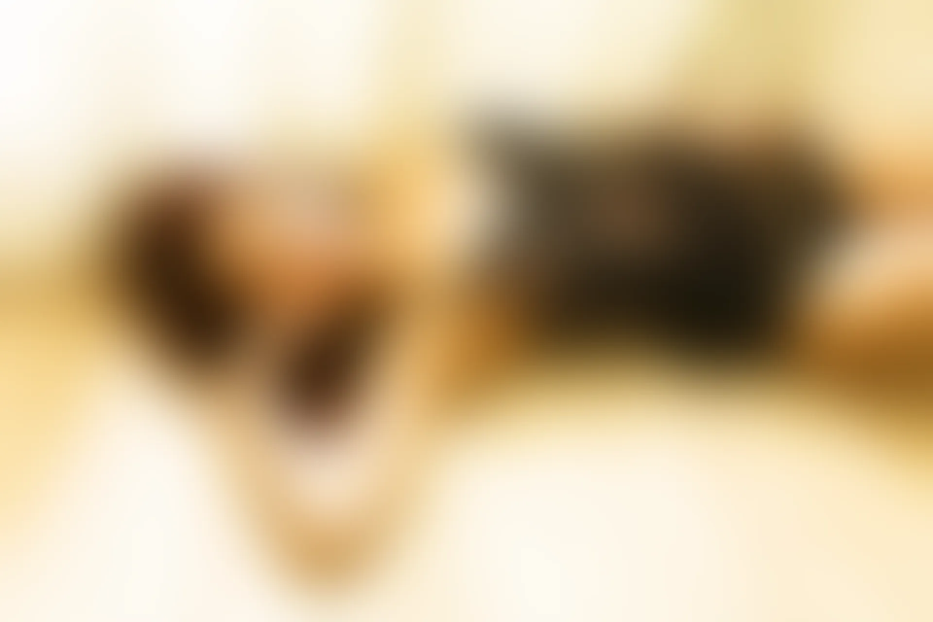 XiuRen秀人网 2014.08.11 No.202 Medusa [51+1P165M]