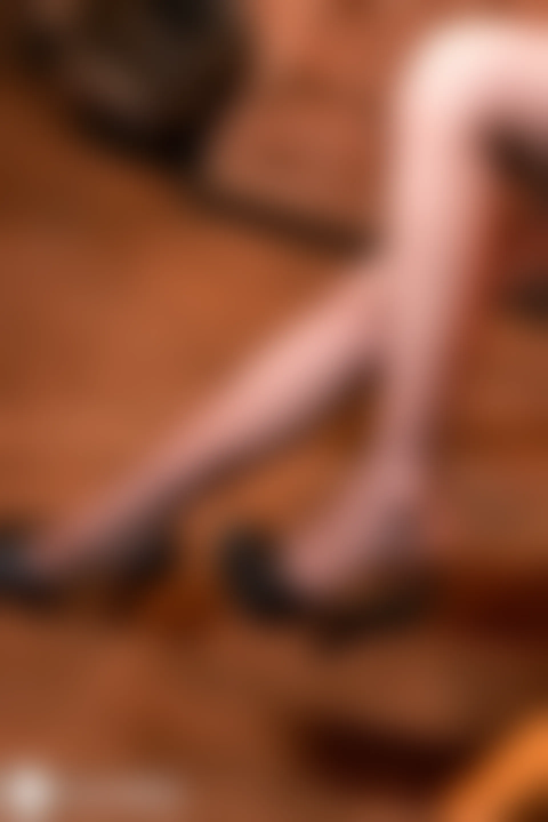 兔玩映画 兔女郎 Vol.049 甜味 [40P-866MB]