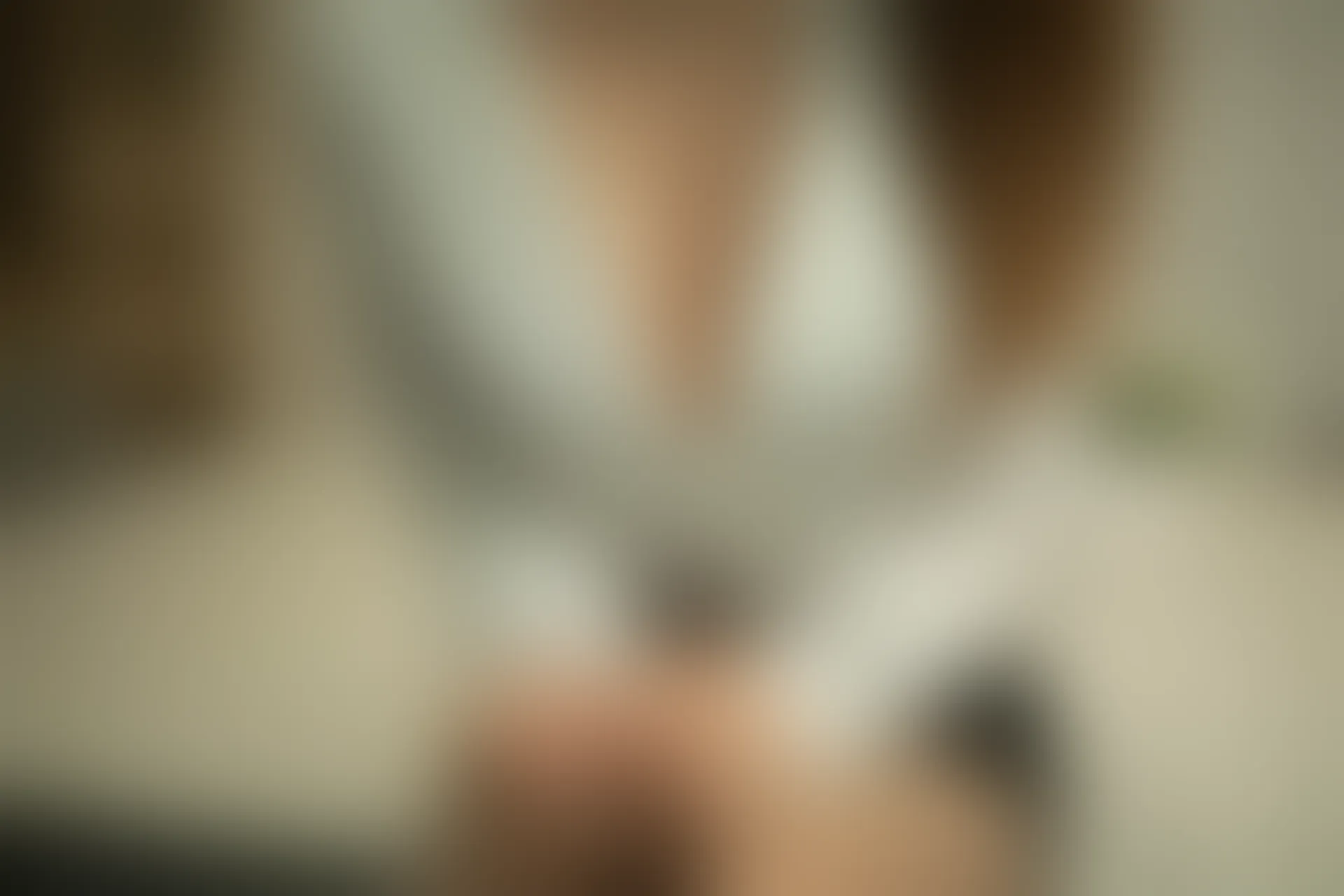 XIUREN秀人网 2020.02.10 NO.1972 夏诗诗Sally[87+1P／185M]