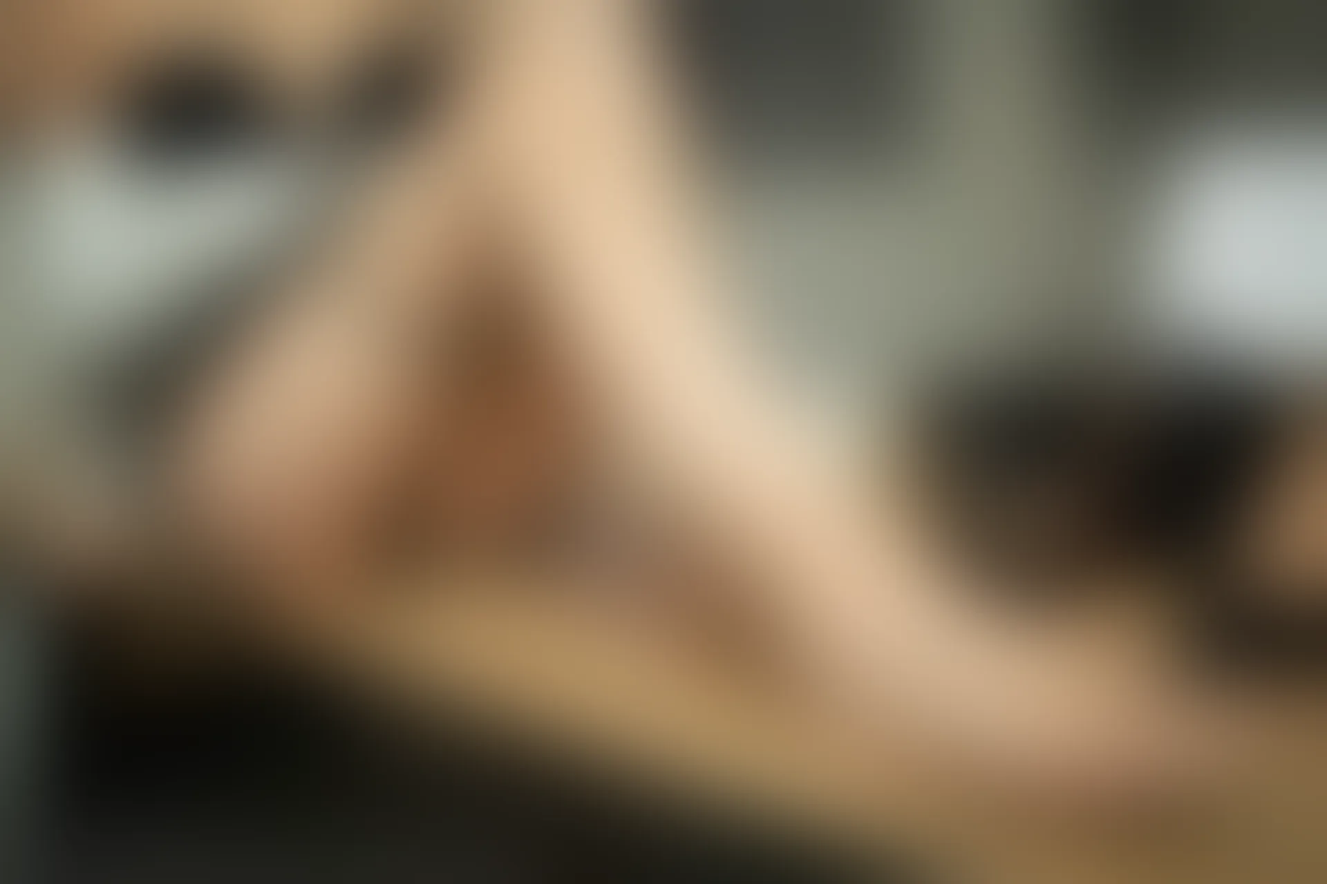 XIUREN秀人网 2020.02.10 NO.1972 夏诗诗Sally[87+1P／185M]